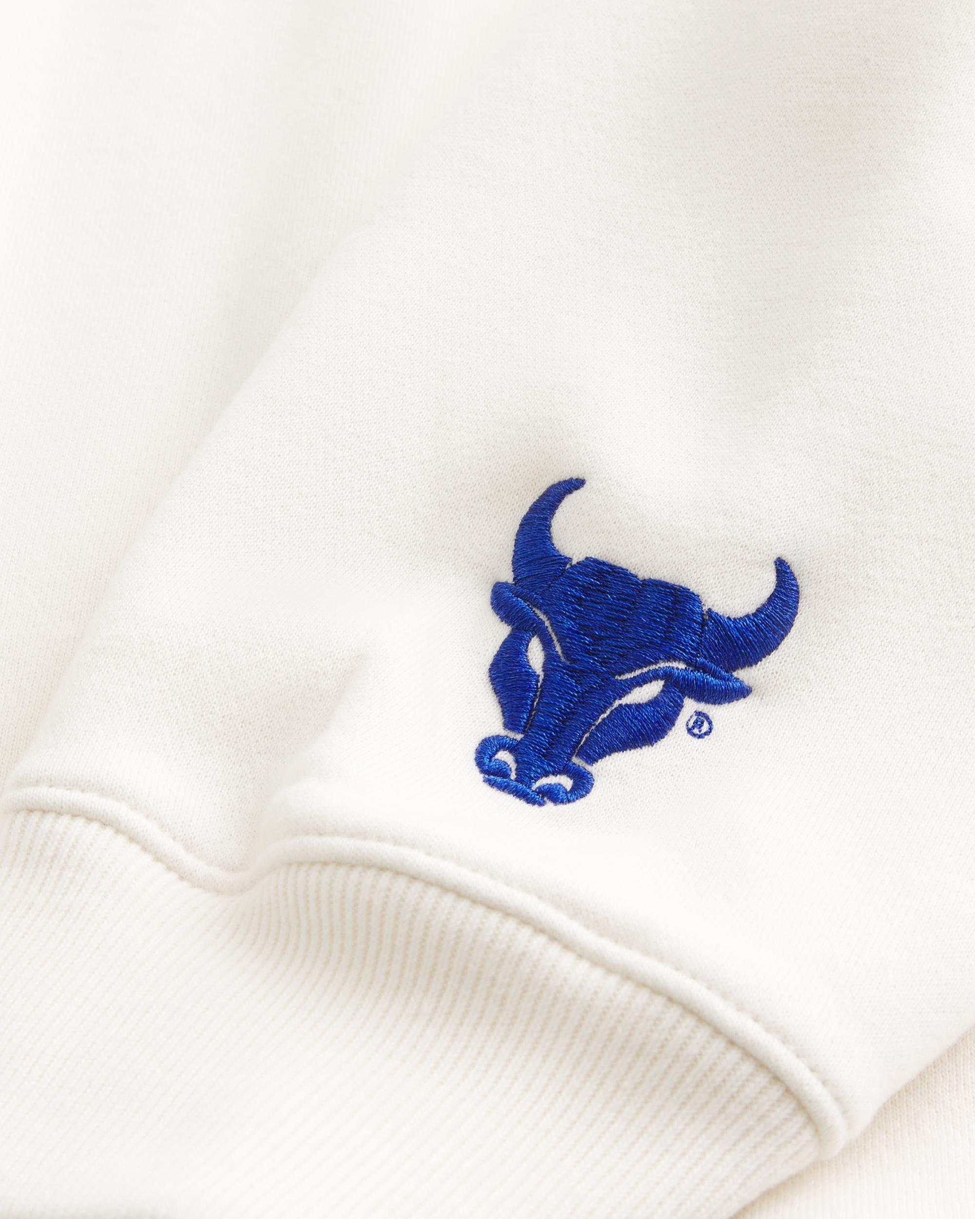 Northwestern Wildcats Graphic Crew Sweatshirt Product Image