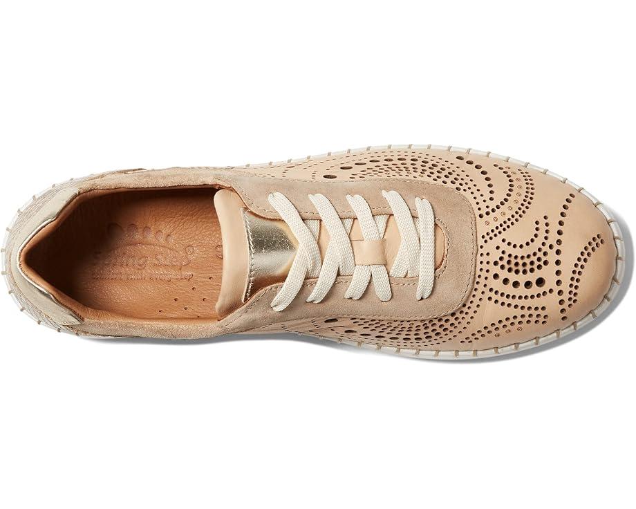 Picasa Product Image