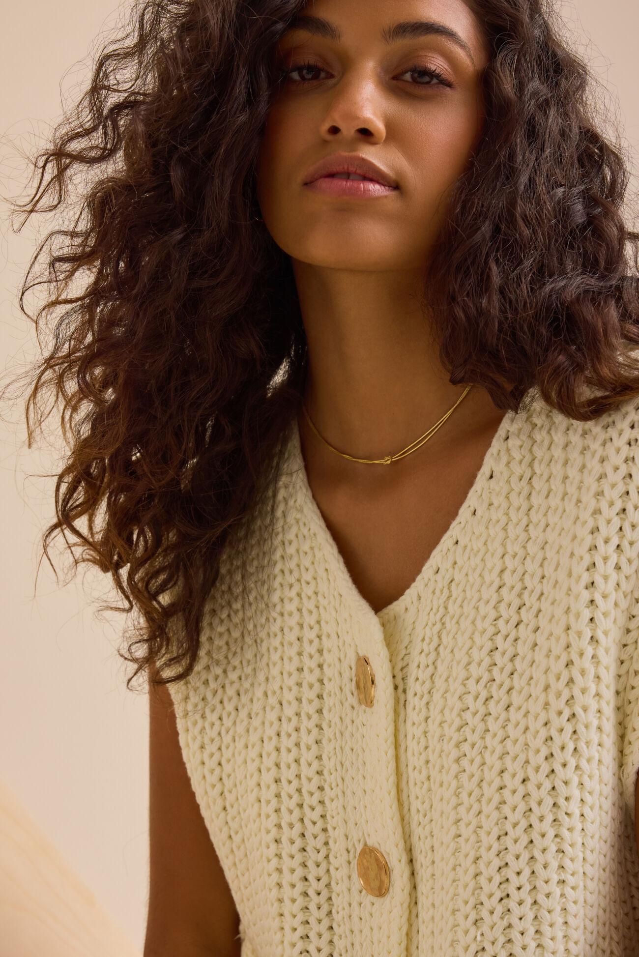 Nolan Cardigan Sweater Vest Product Image