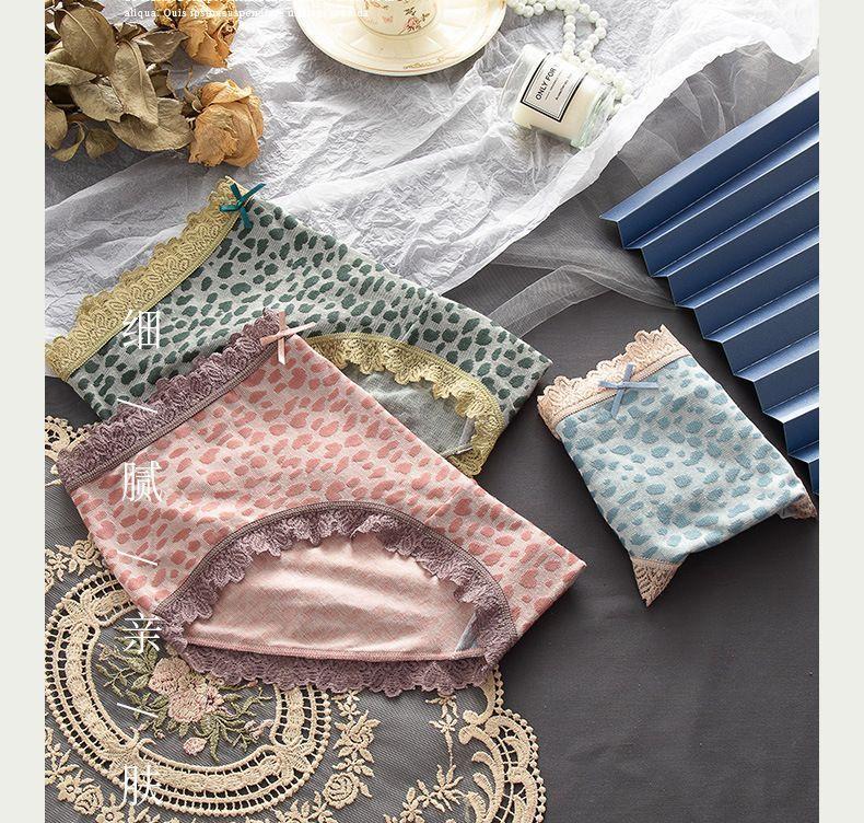 Lace Trim Leopard Print Panties Product Image