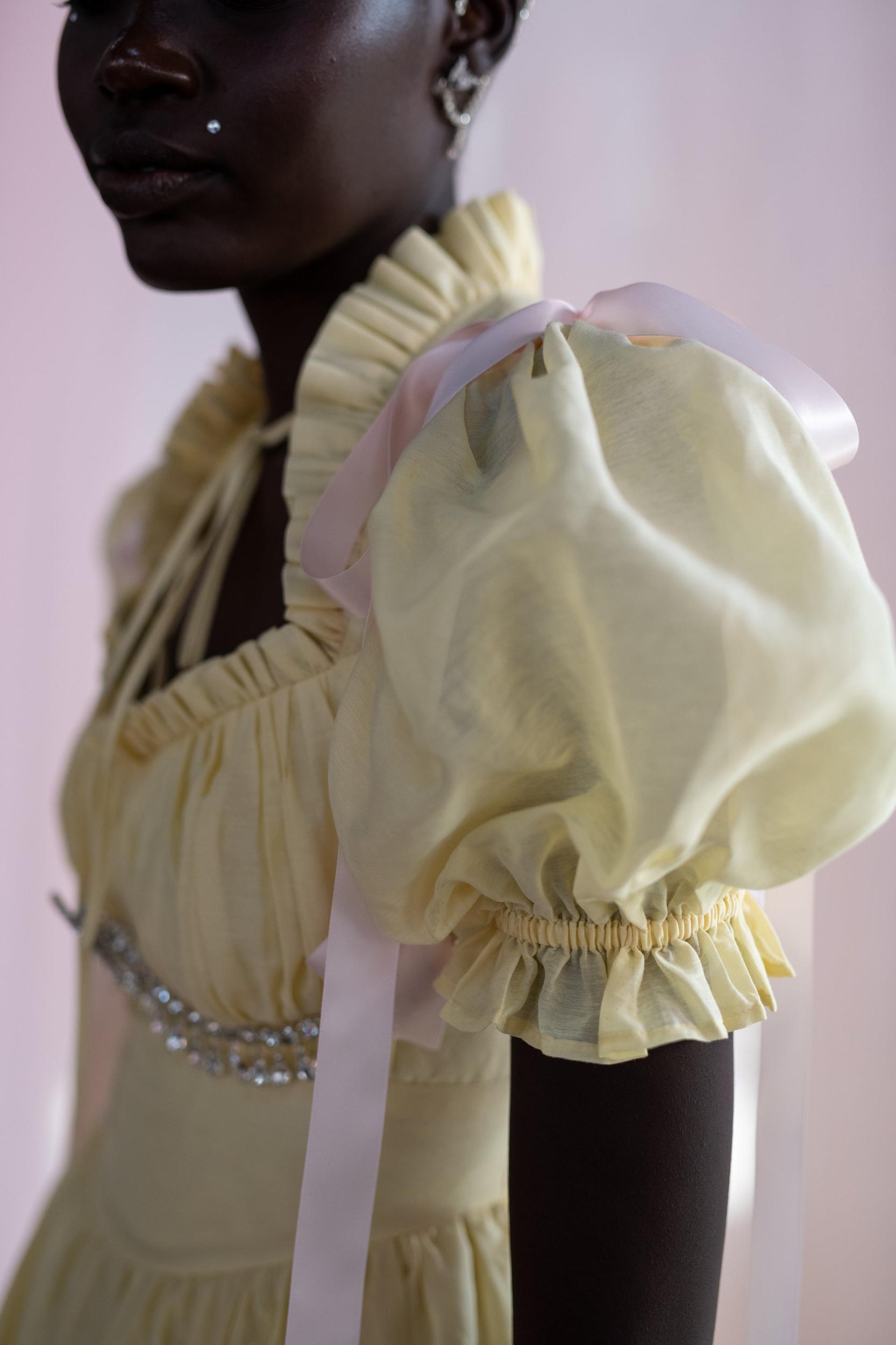 The Twinkie Portrait of a Lady Dress Product Image