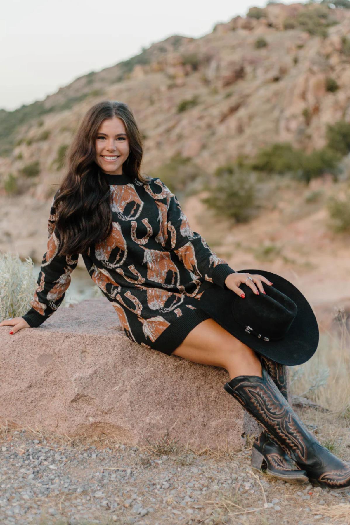 Sterling Kreek The Ruidoso Sweater Dress Product Image