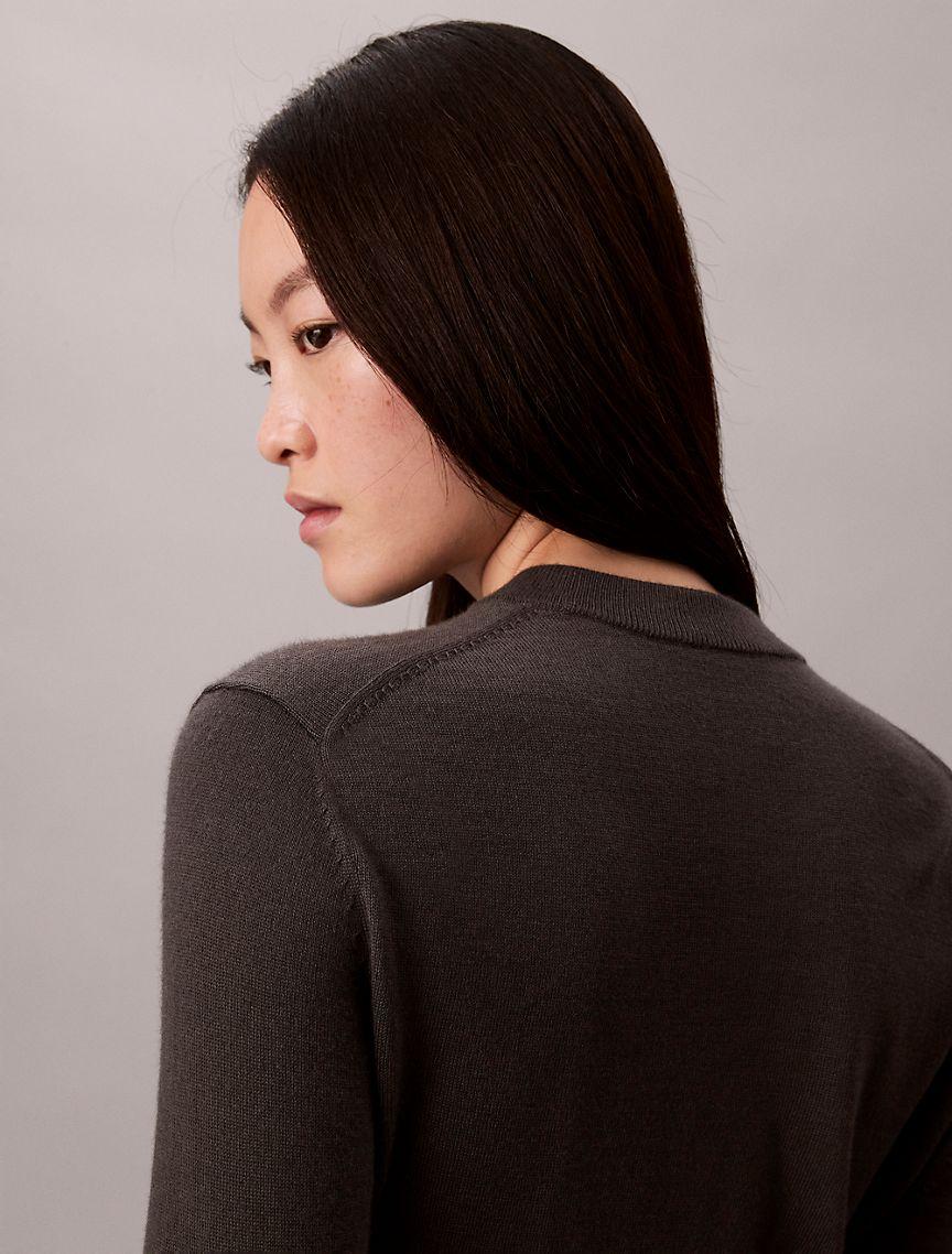 Extra Fine Merino Blend Crewneck Sweater Product Image