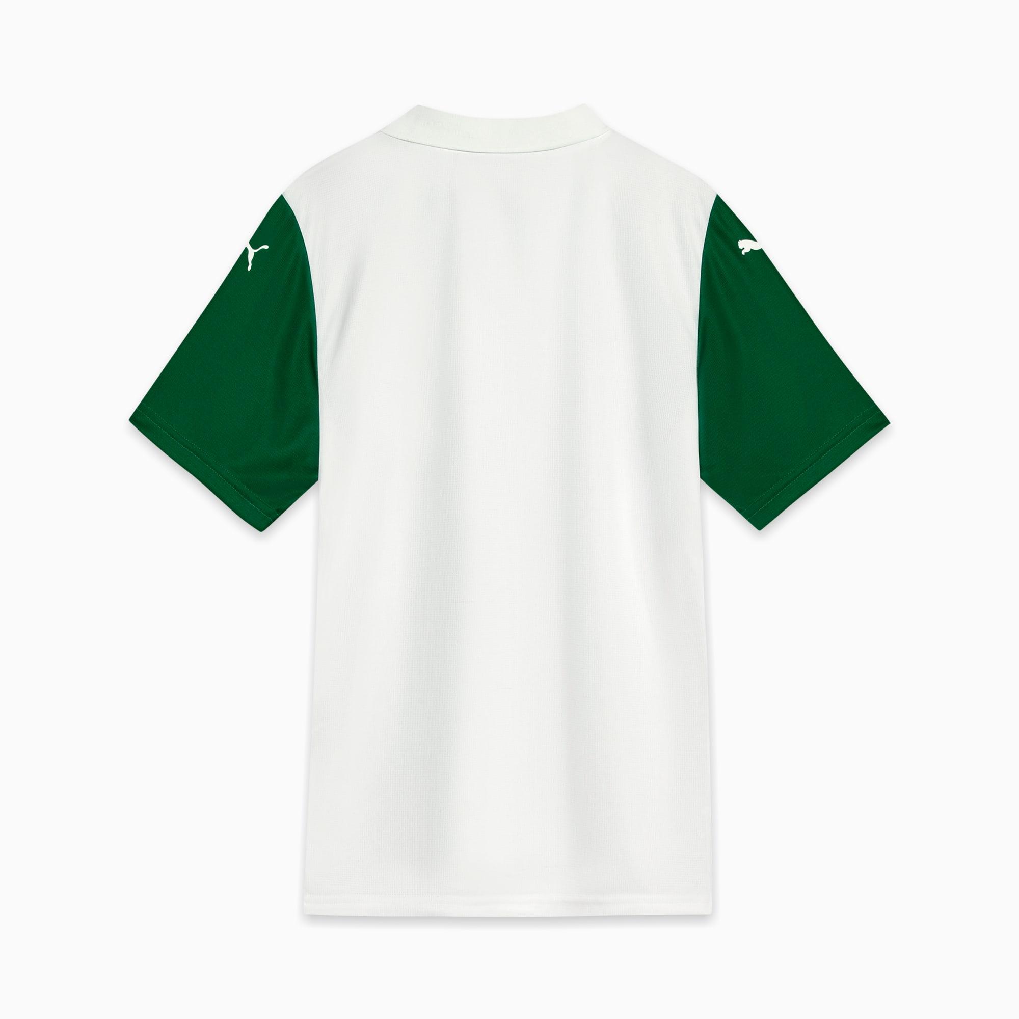 Palmeiras Torcedor Away Jsy 25 Men Product Image