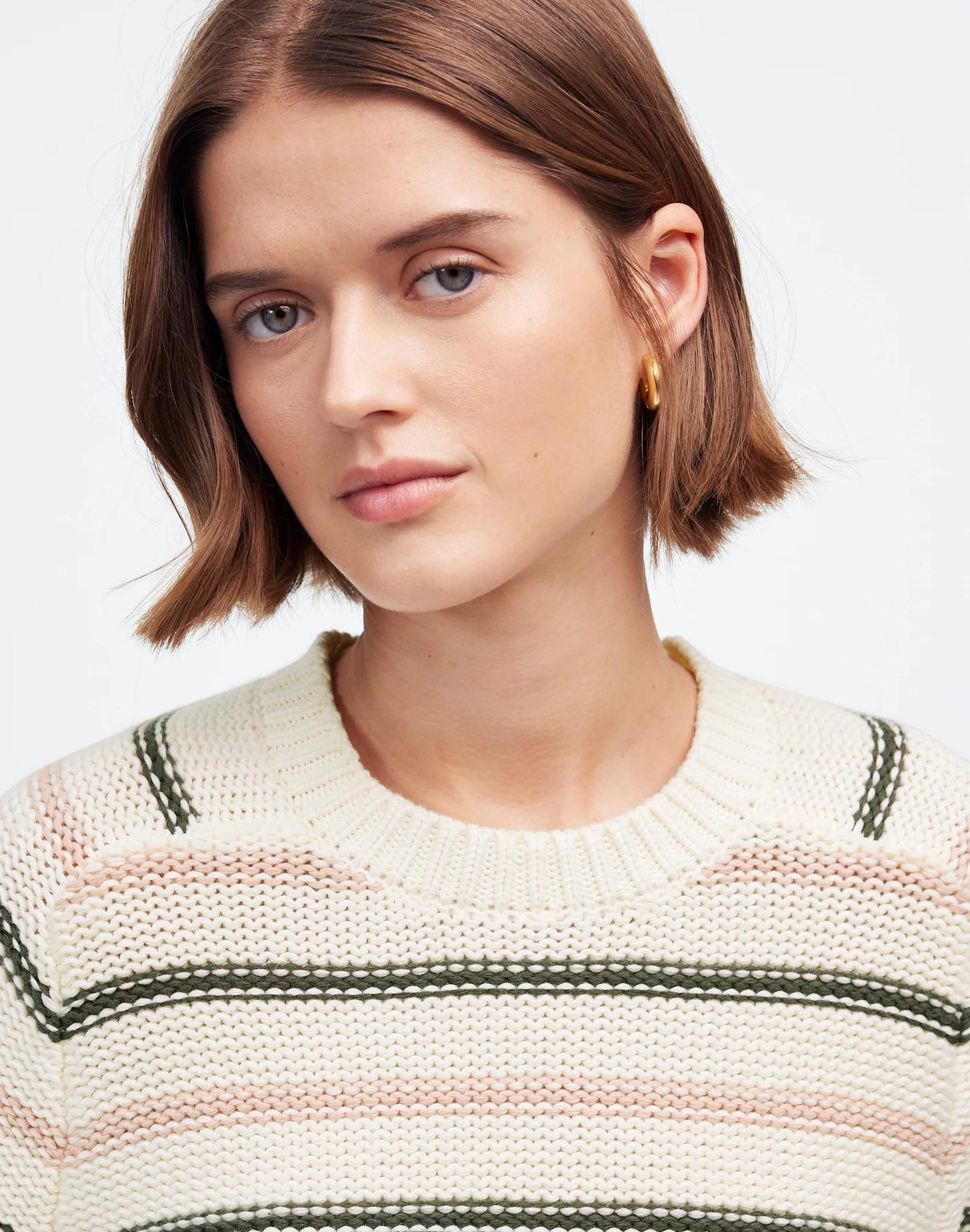 Cotton Crewneck Sweater in Stripe Product Image