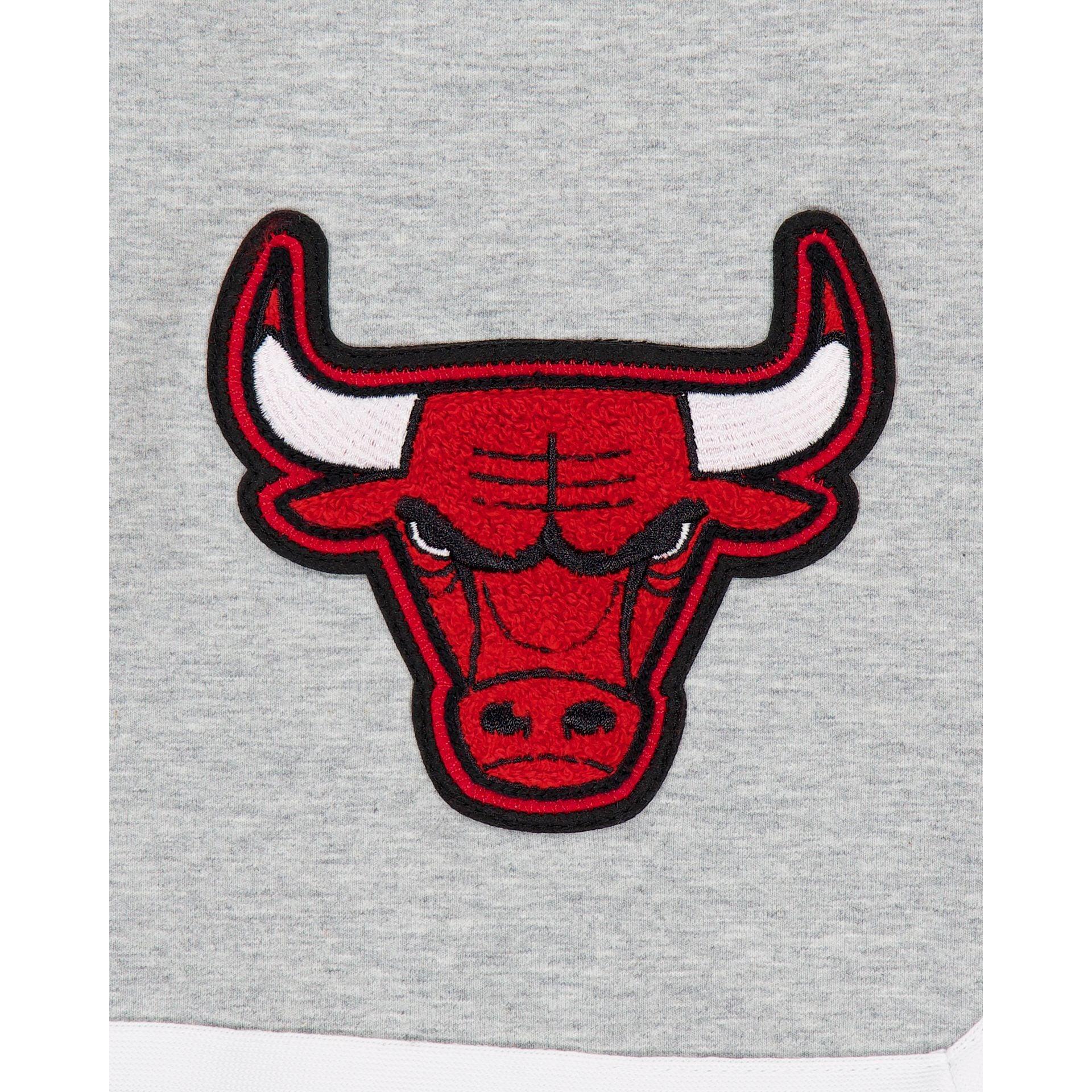 Chicago Bulls Gray Logo Select Shorts Male Product Image