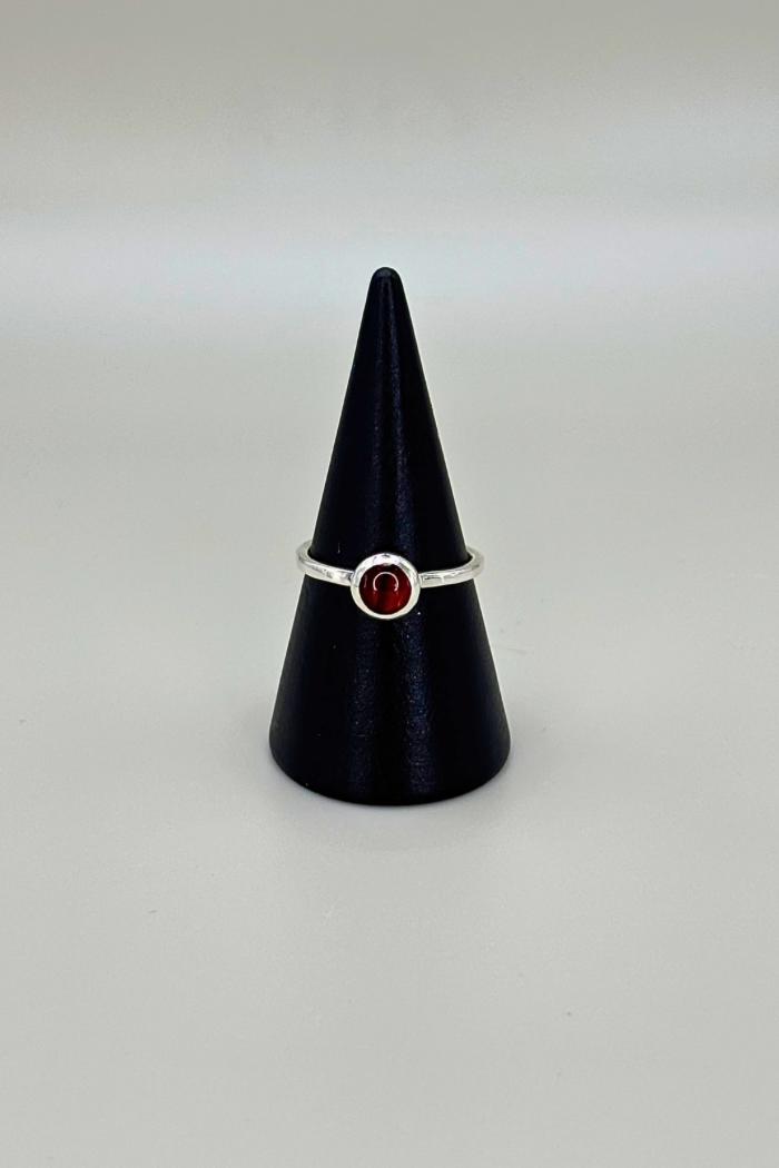 Paua Shell Rounds Product Image