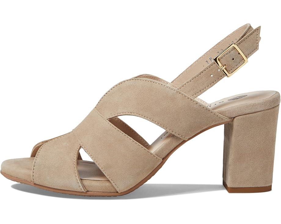 Everest Product Image