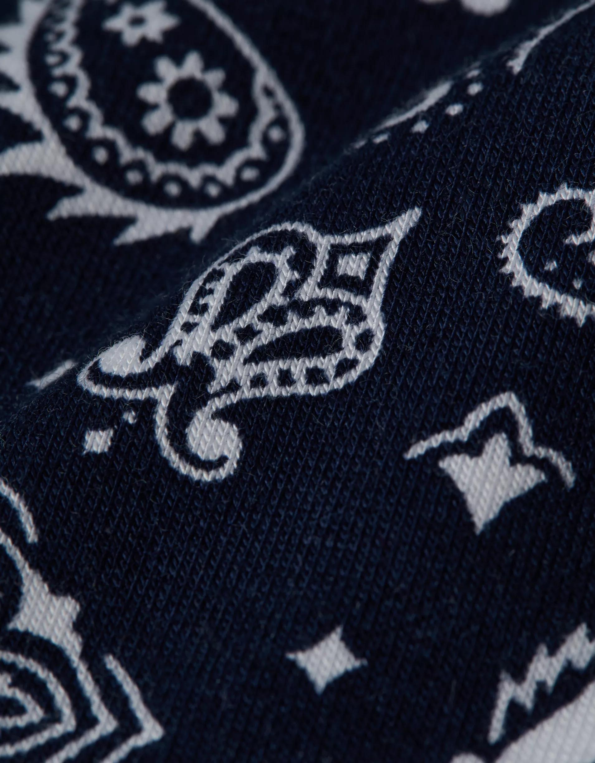 AEO Men's Bandana 4.5" Ultra Soft Boxer Brief Product Image