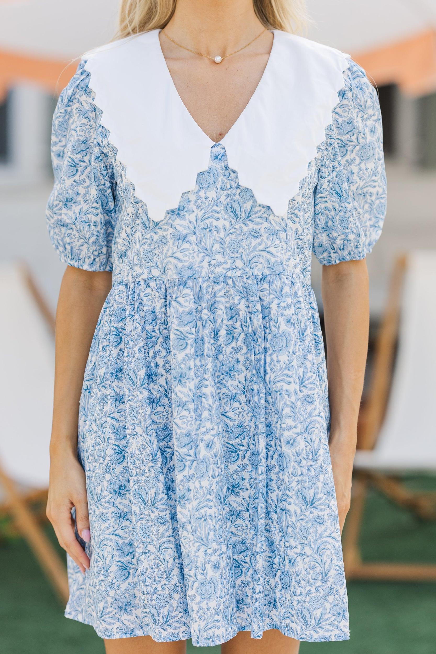 The Life Blue Toile Dress Female Product Image