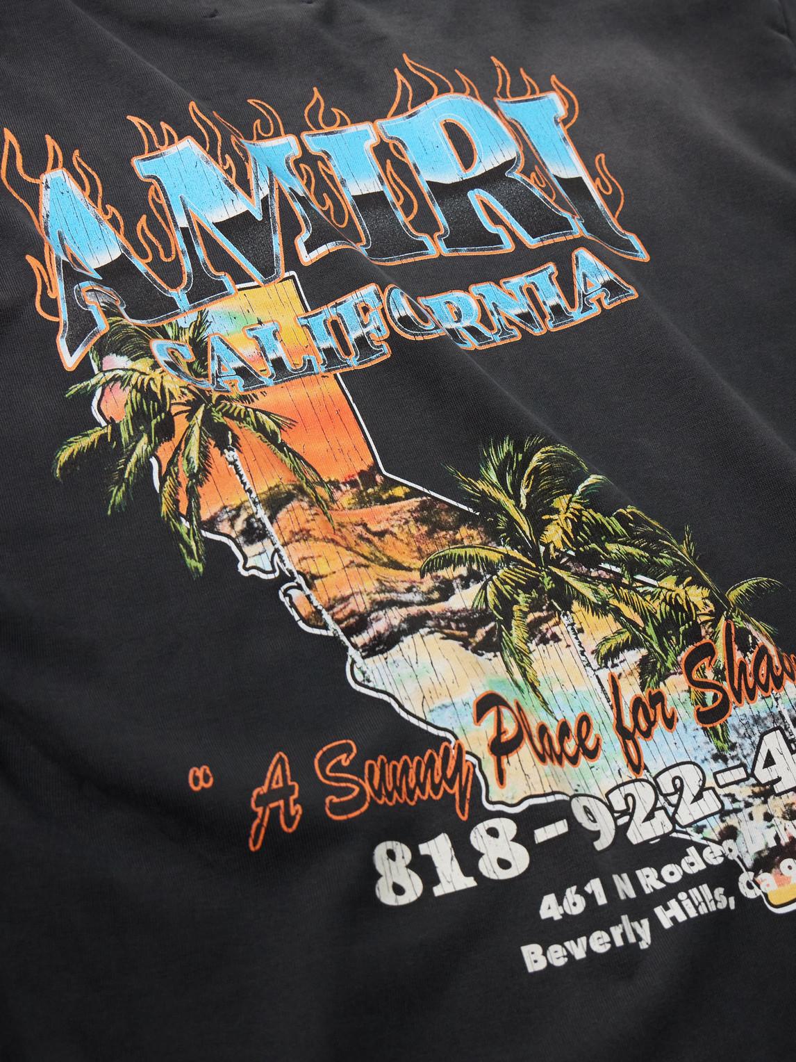 Phys Ed T-shirt Product Image