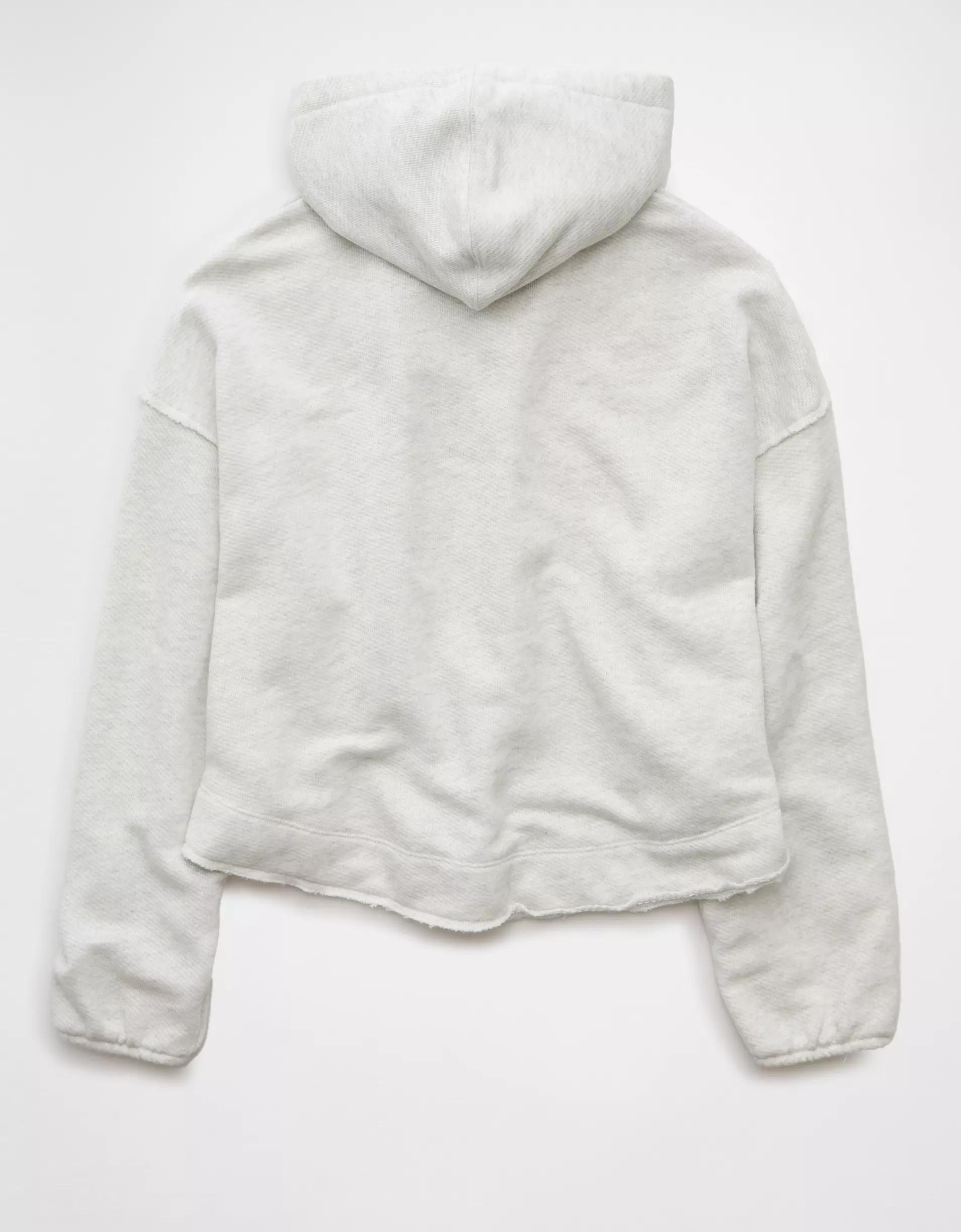 AE Saltwash Hoodie Product Image