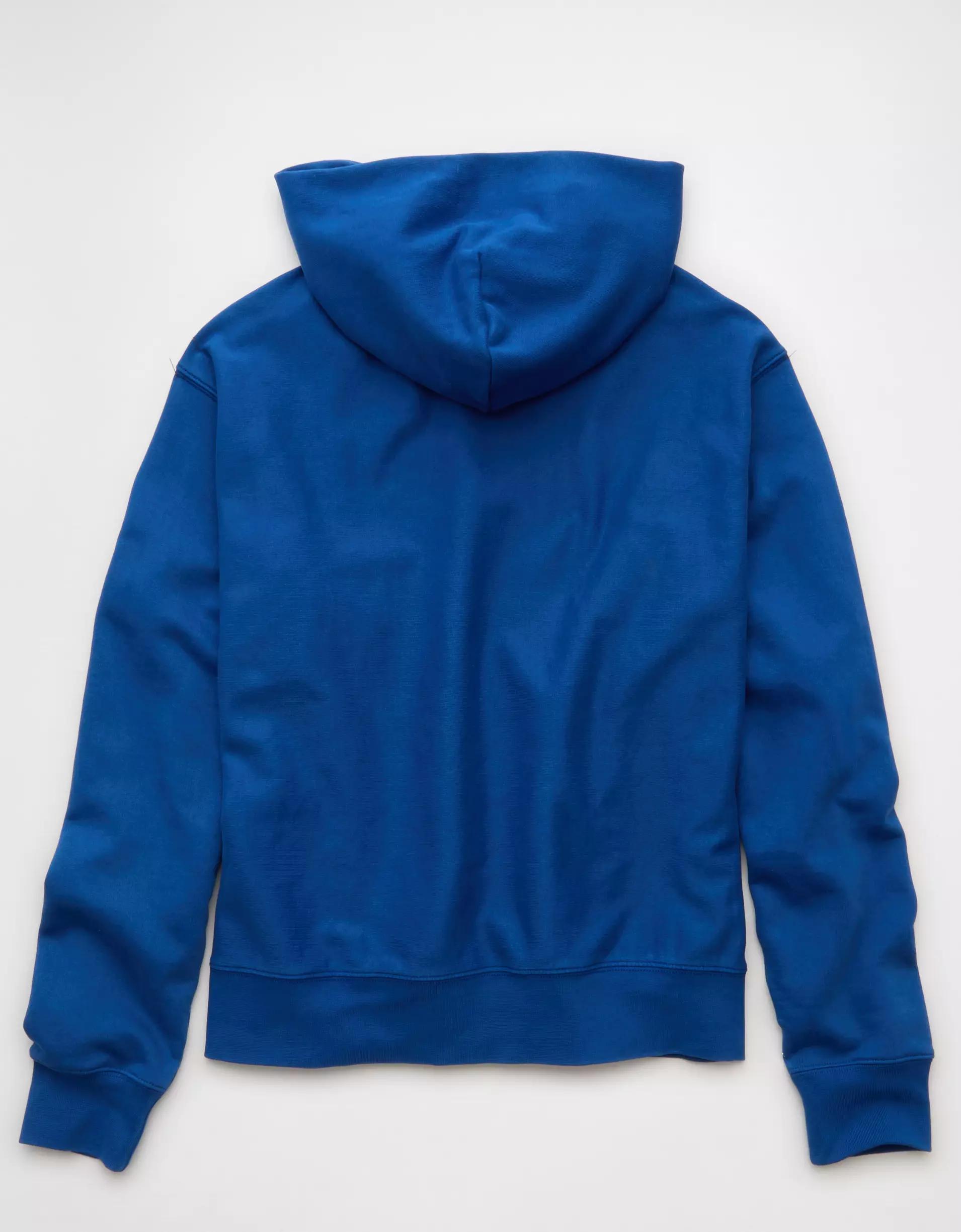 AE Laidback Luxe Heavyweight Hoodie Product Image