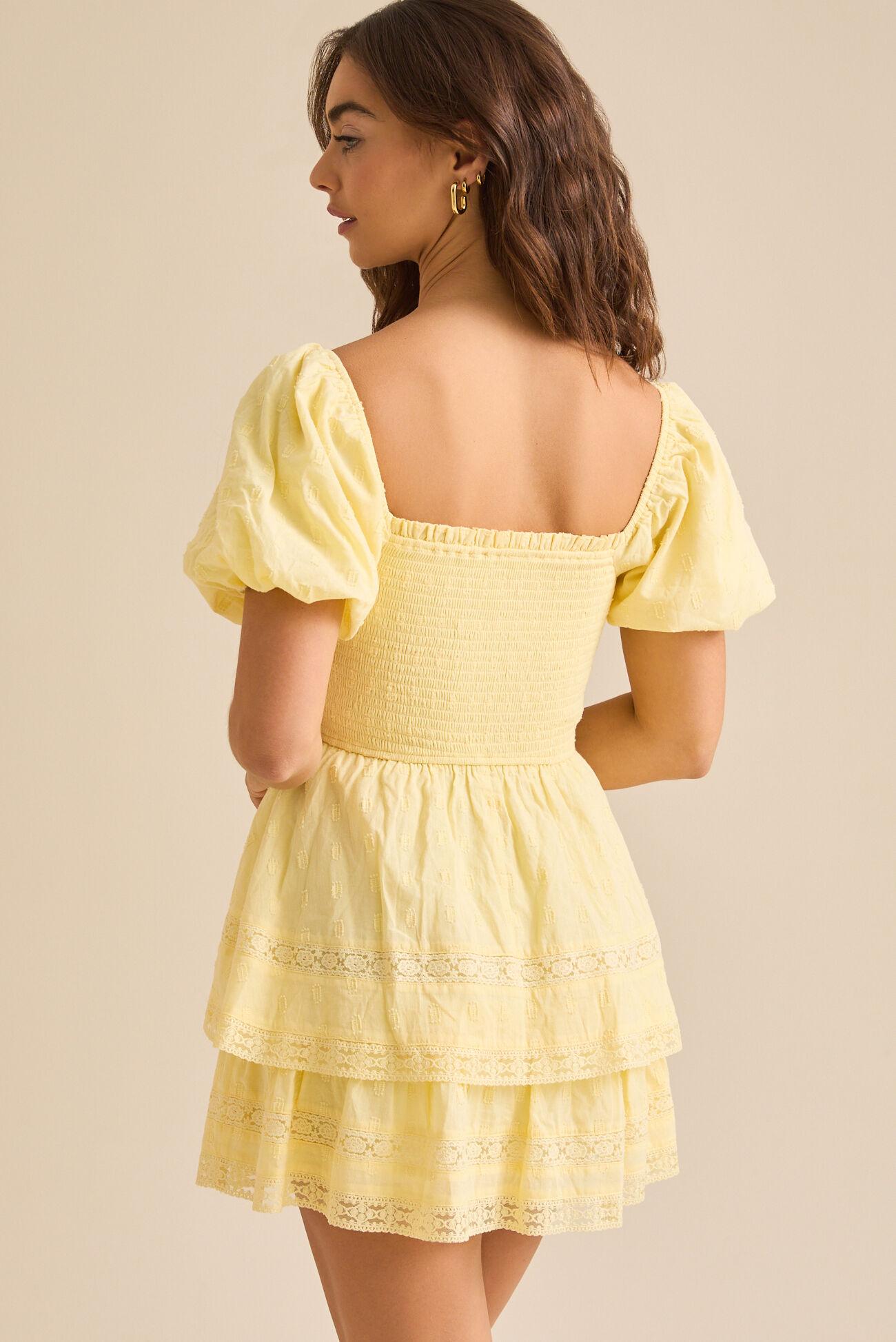 Iris Mini Dress Product Image