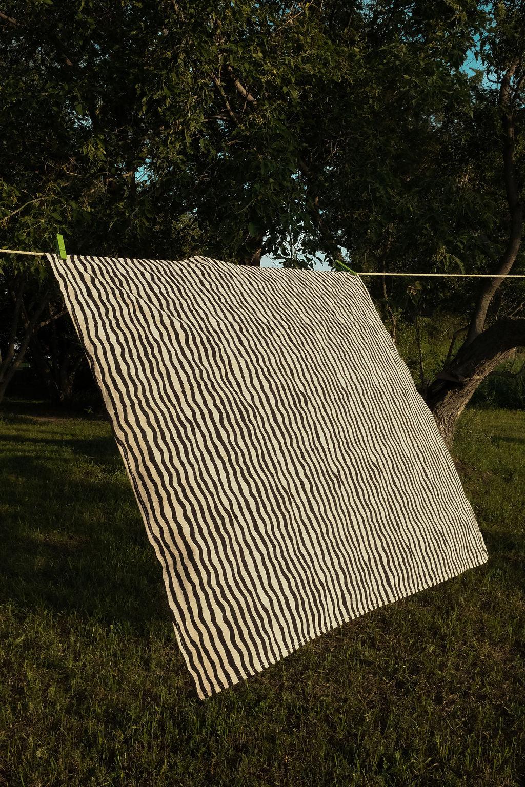 Zebra Stripe Bandana Product Image