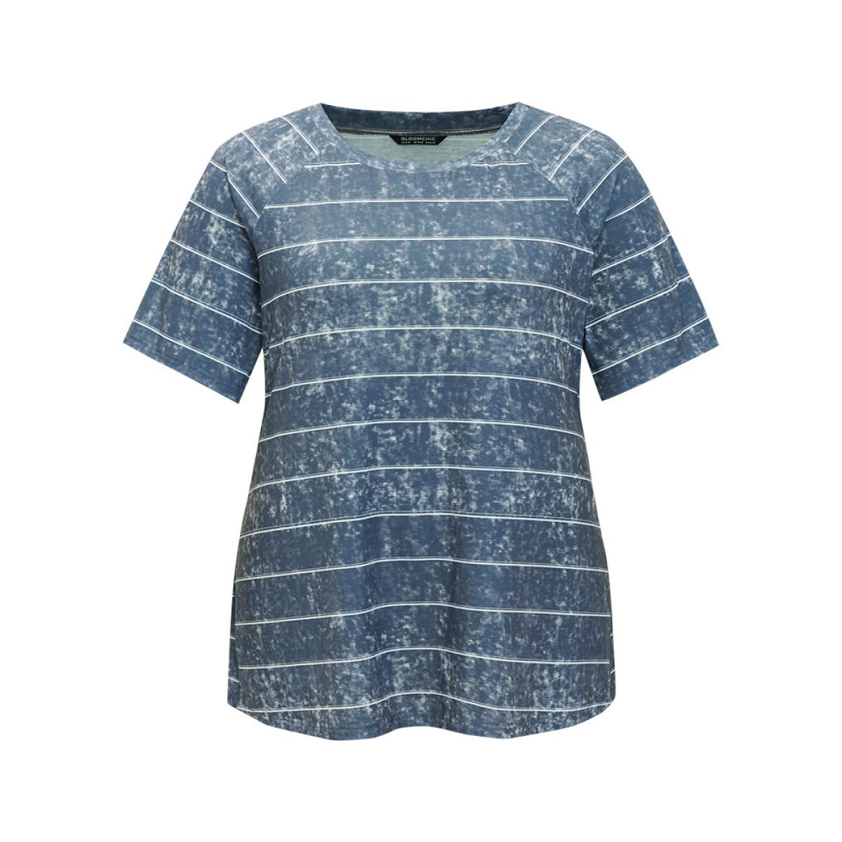 Plus Size Striped Print Raglan Sleeve Vintage T-shirt DimGray Women Casual Contrast Striped Round Neck Dailywear T-shirts BloomChic 22-24/3X Product Image