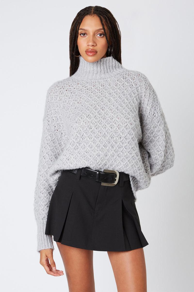 Tessa Textured  Turtleneck Product Image