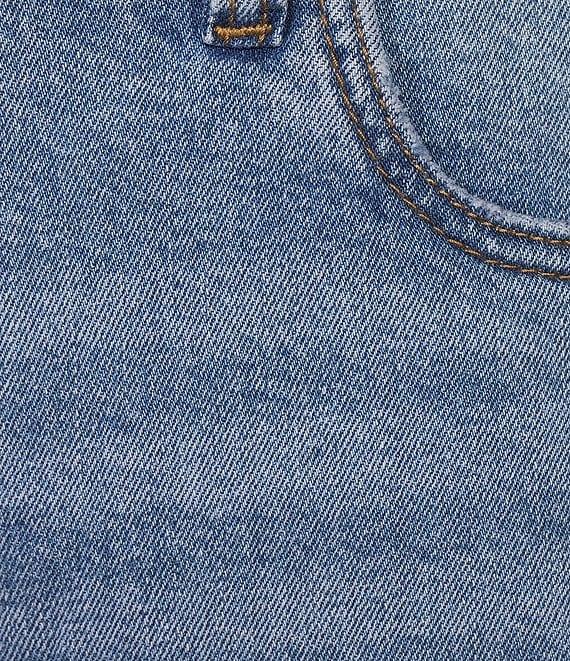 KUT from the Kloth Plus Size Jane Stretch Denim High Rise Shorts Product Image