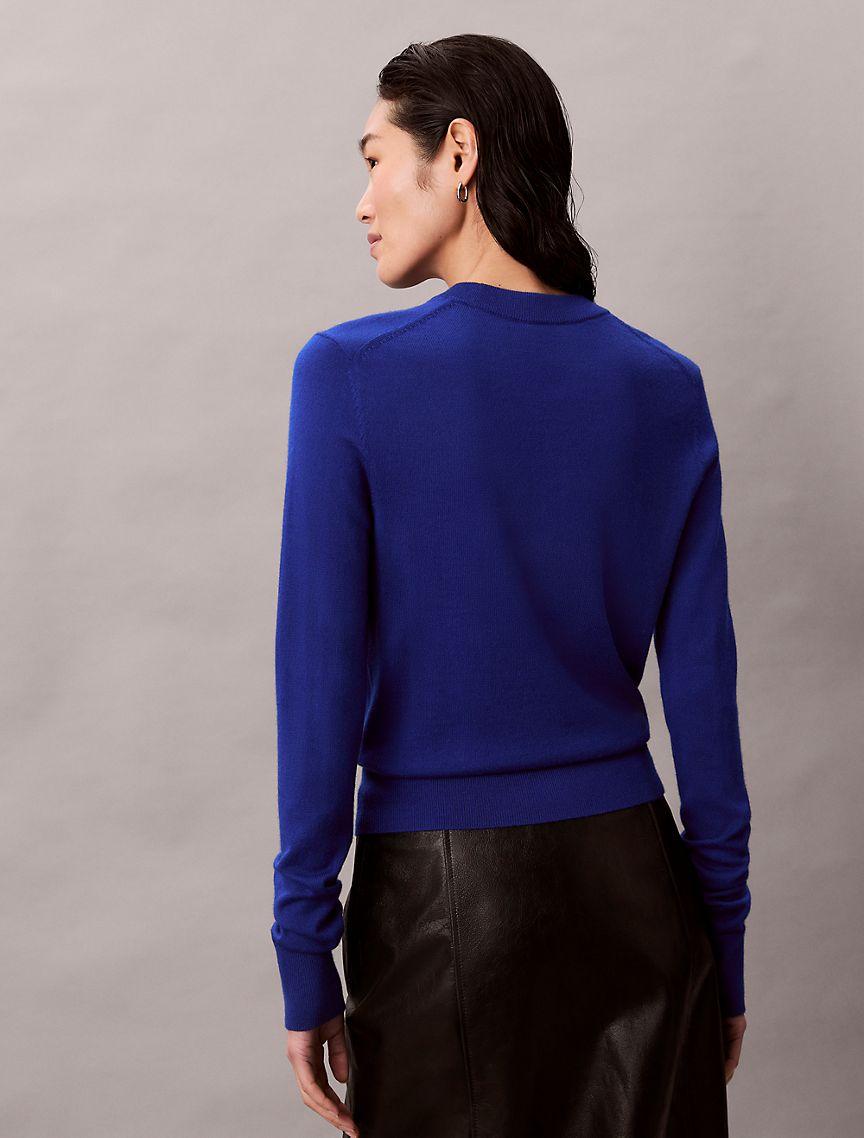 Extra Fine Merino Blend Crewneck Sweater Product Image