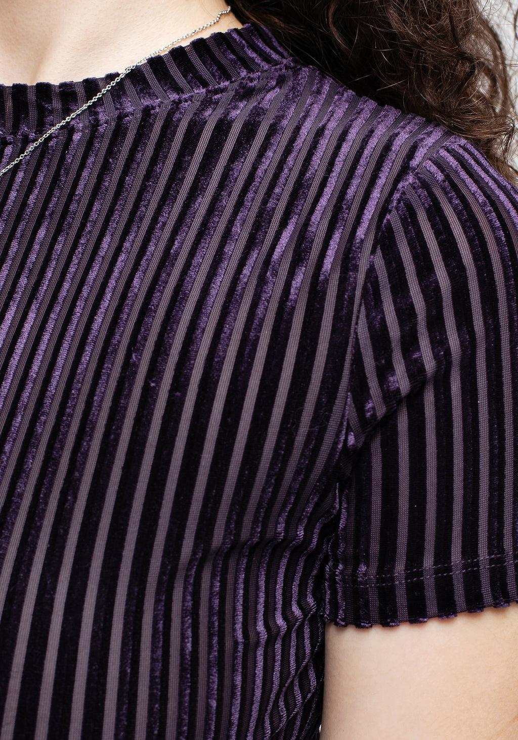 Dysnomia Ribbed Velvet Crop Top Product Image