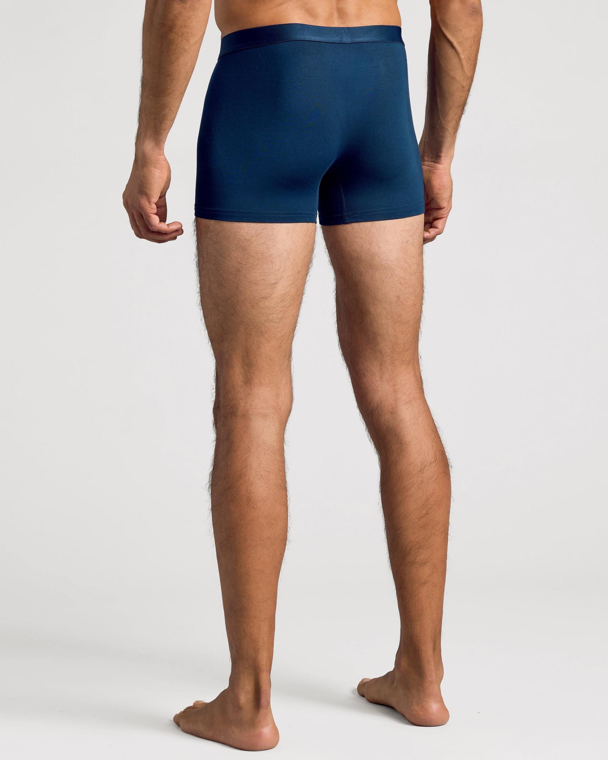 Carbon Boxer Trunks 3-Pack Product Image