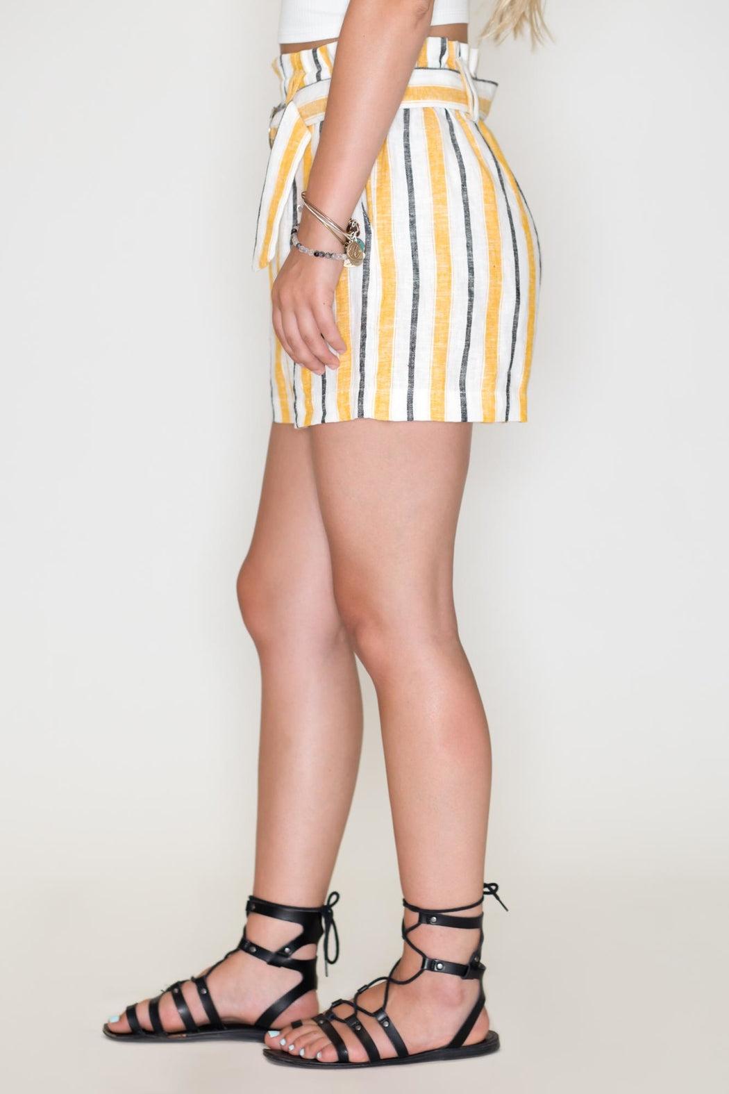 Striped Shorts Product Image