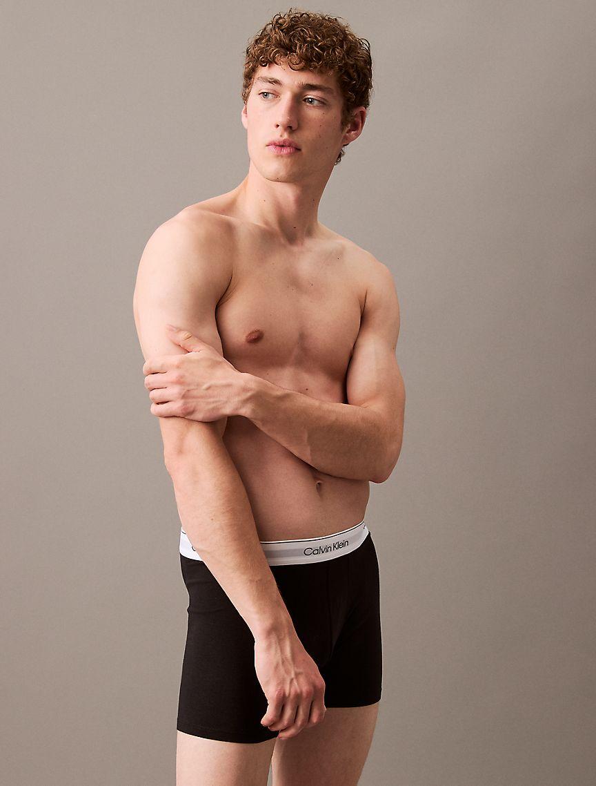 Icon Cotton Stretch 3-Pack Boxer Brief Product Image