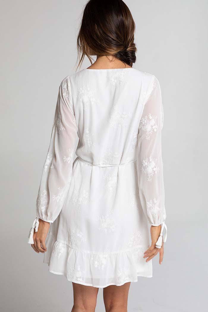 Sheer Chiffon Long Sleeve Wrap Dress Product Image