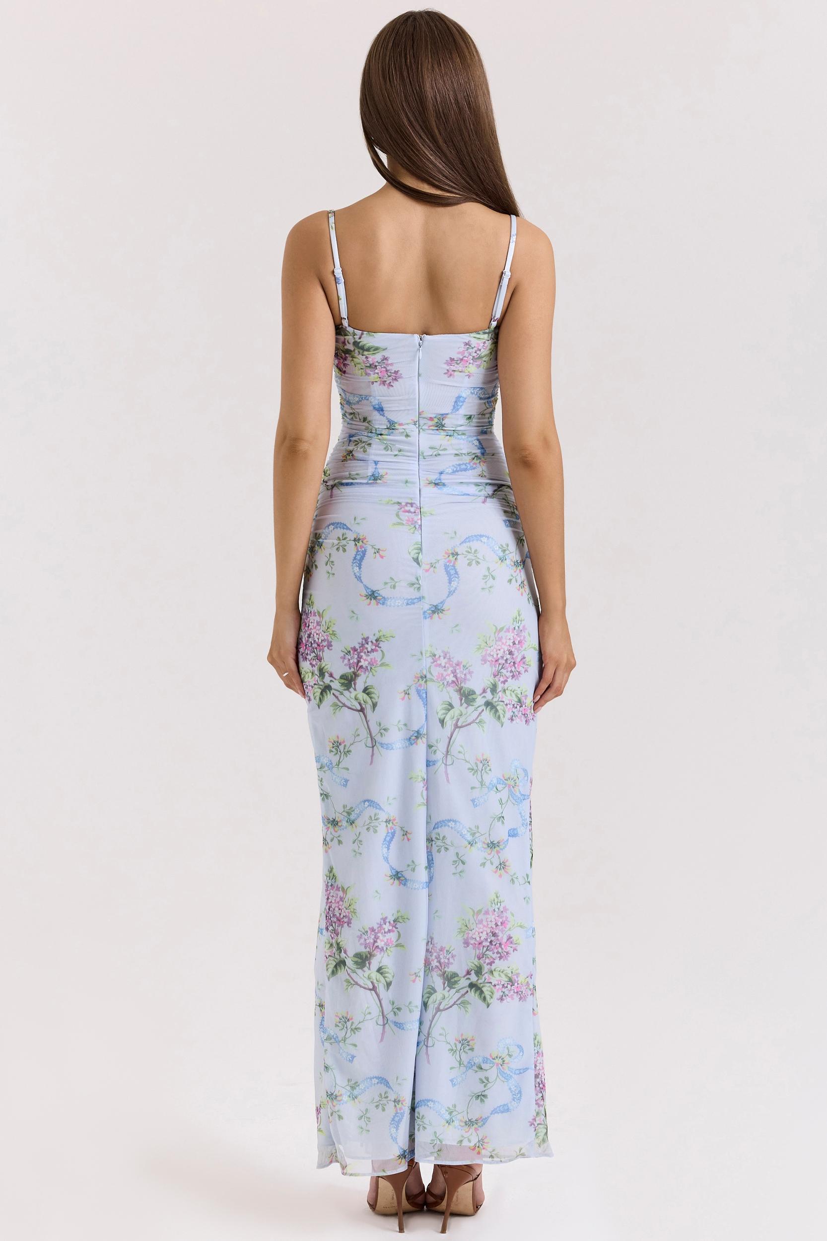 Lini  blue floral print mesh maxi dress Product Image
