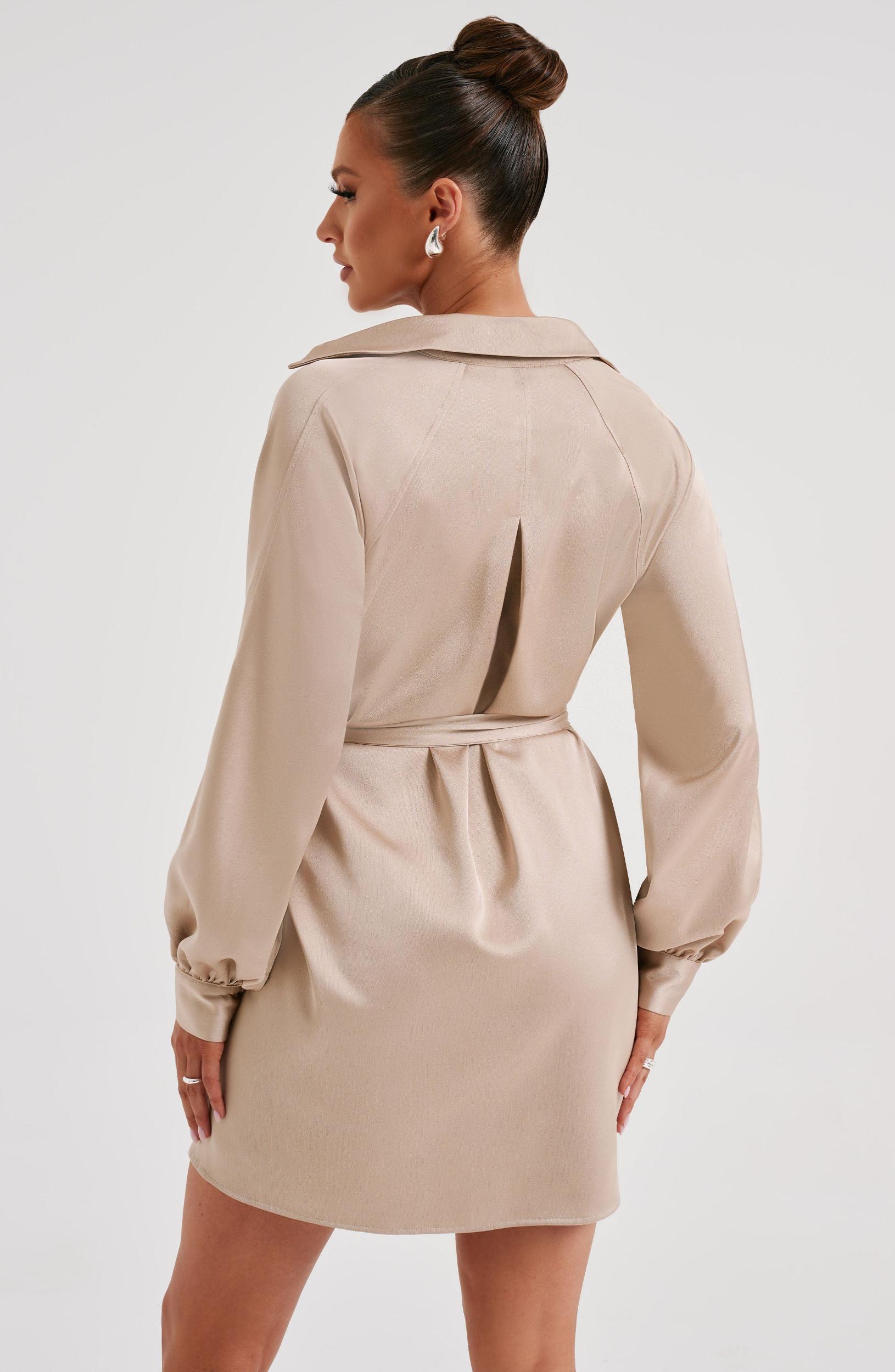 Kara Mini Dress - Champagne Product Image