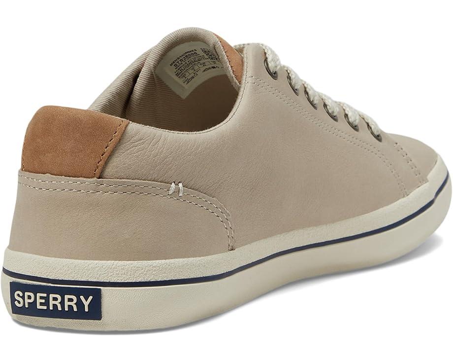 CVO Canvas Product Image