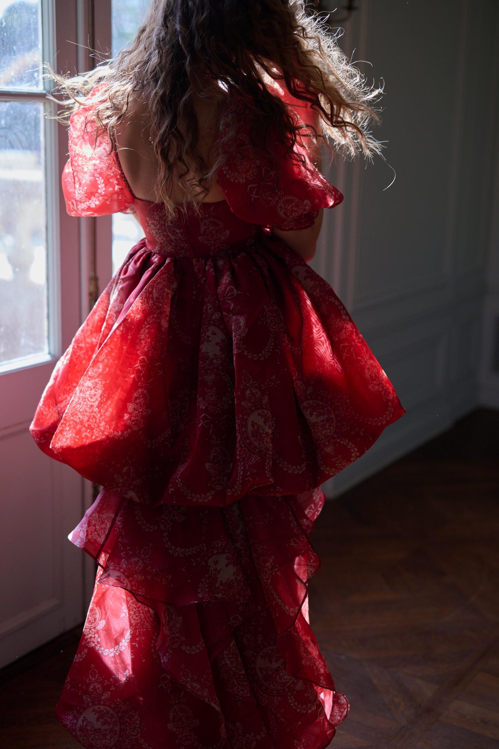 The Ornament Fairytale Gown Product Image
