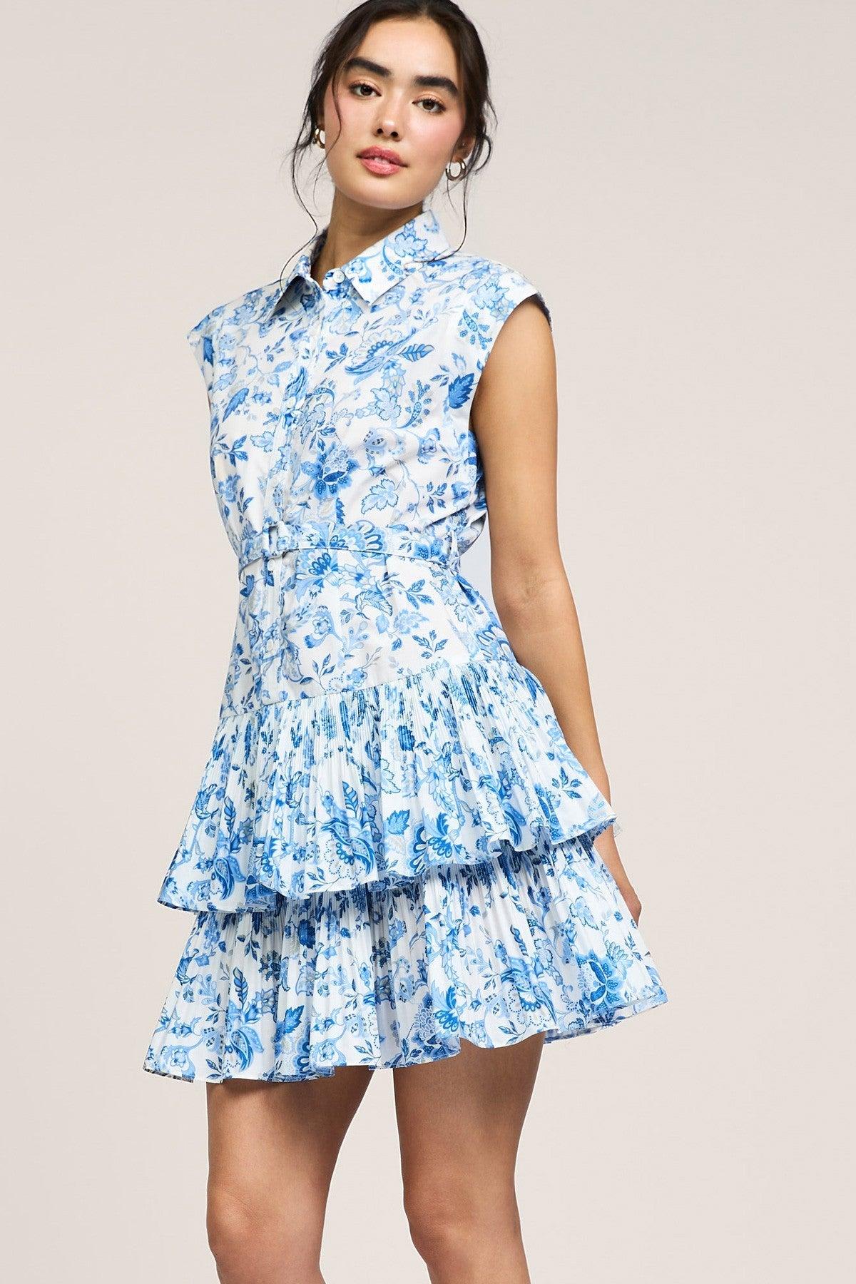 Briana Floral Mini Dress Product Image