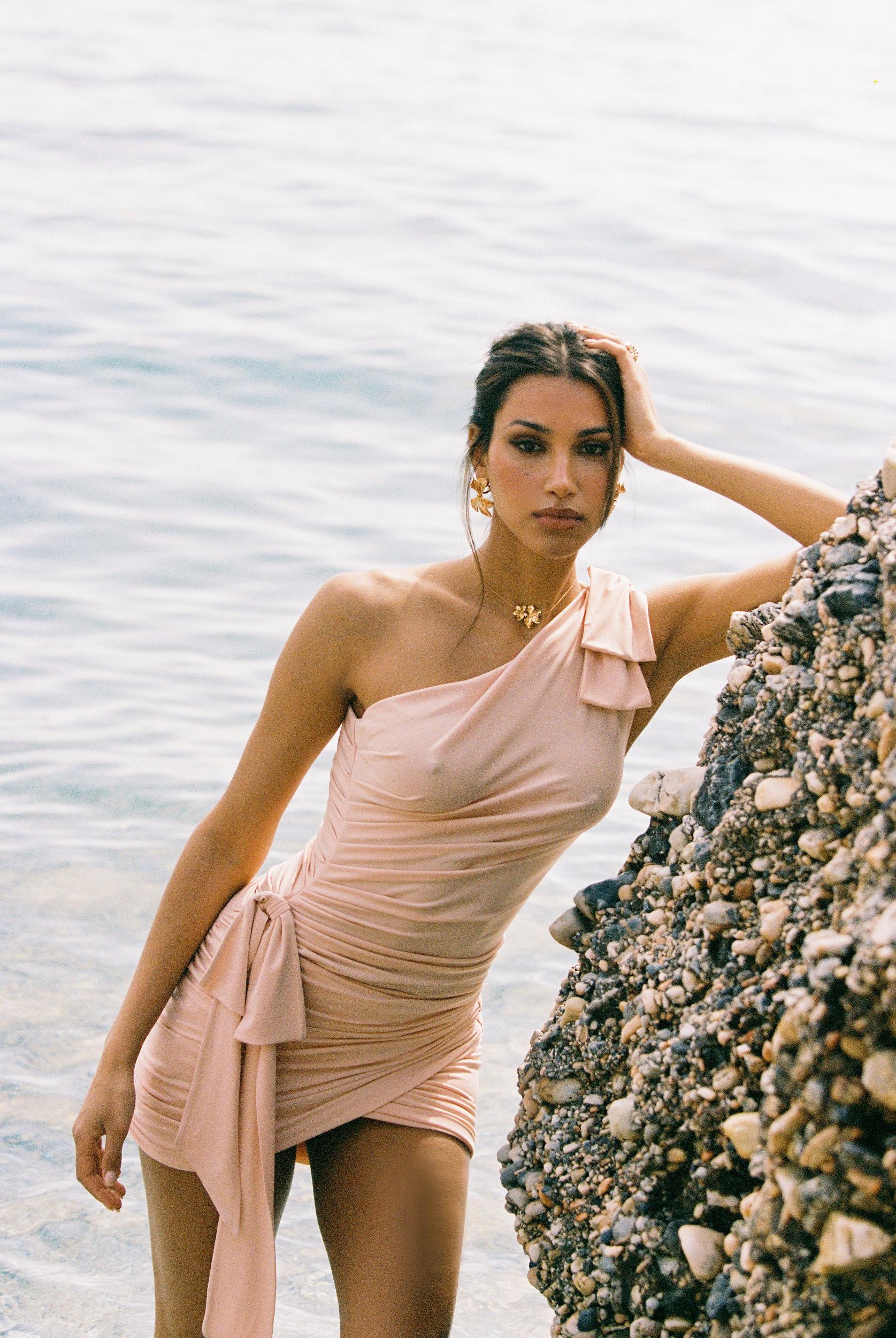 Liu Skirt (Pink) Product Image