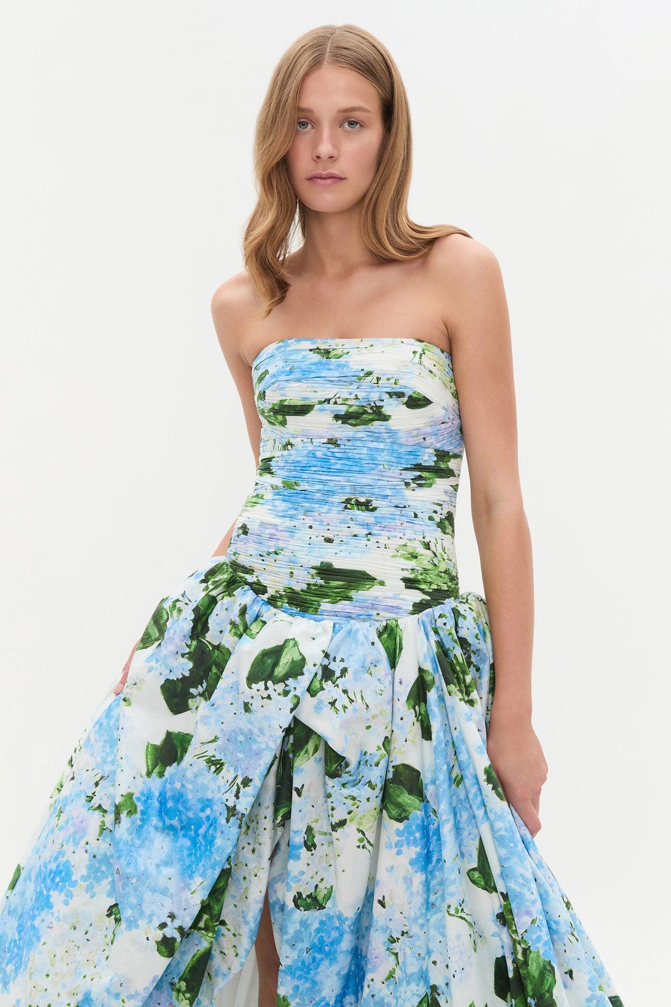 Behold Maxi Dress Product Image