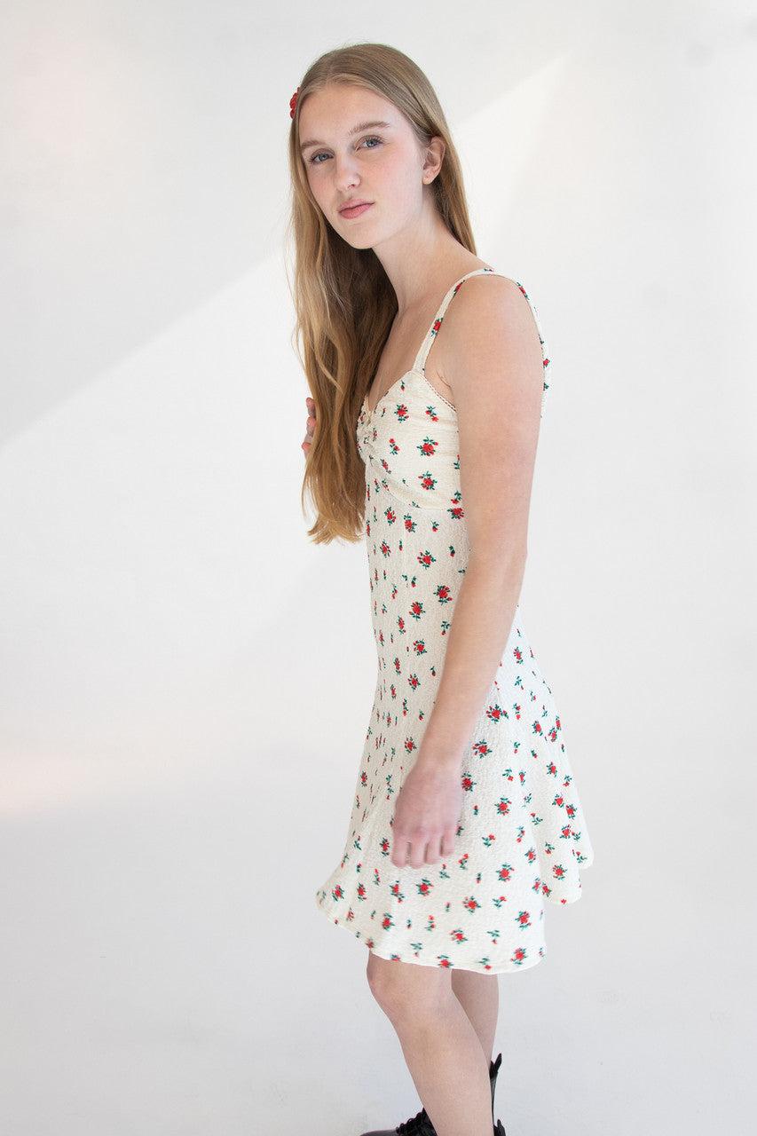 Rose Print Fit & Flare Mini Dress Product Image