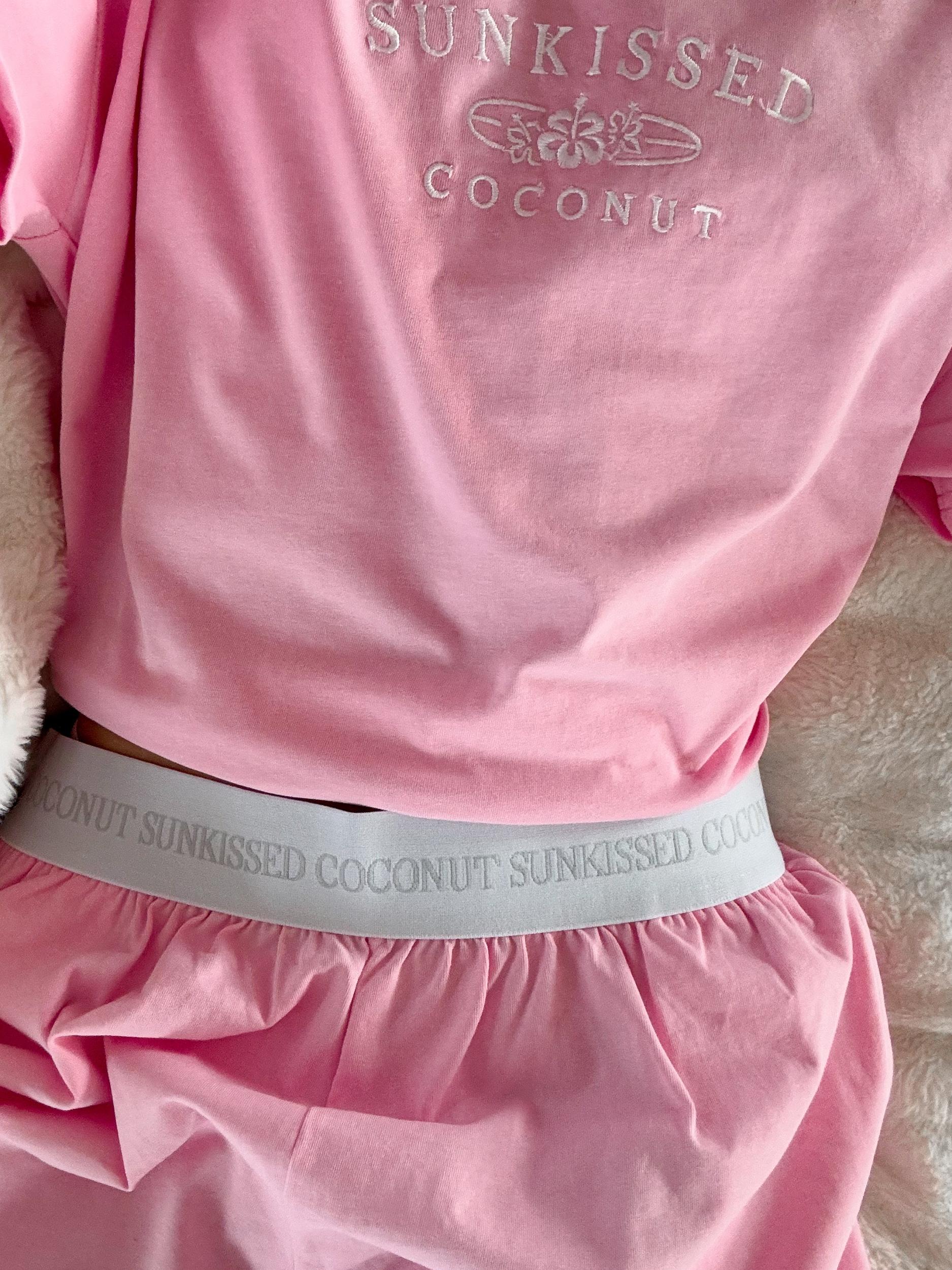 Lush Pink Basic Watercolor Embroider Tee Product Image