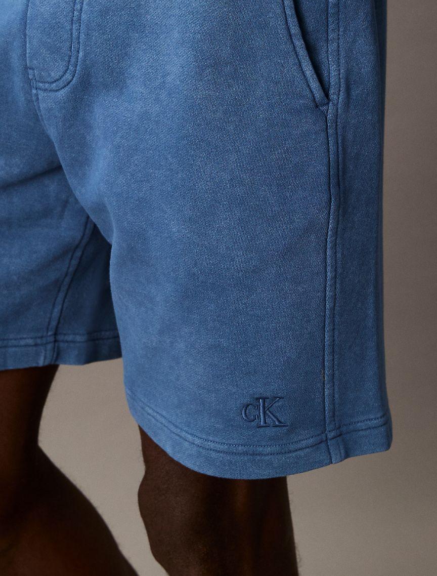 Washed Terry Shorts Product Image