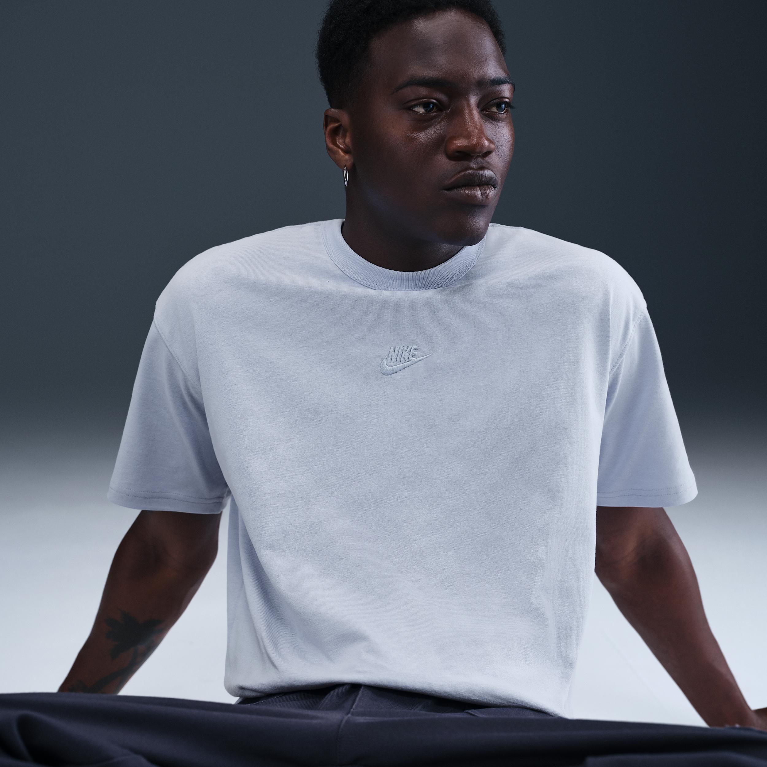 Mens Nike Sportswear Premium Essentials T-Shirt | DO7392-726 Product Image