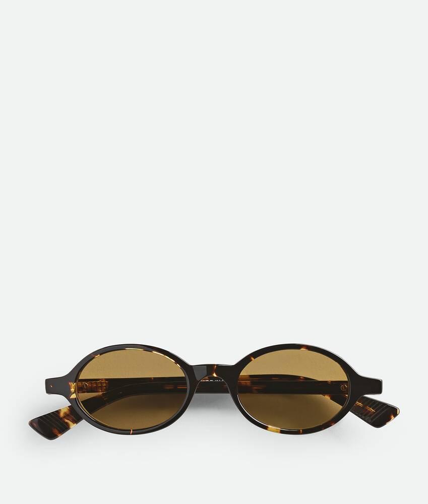 Classic Oval Sunglasses in Havana/yellow Product Image