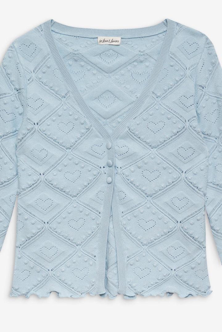 Coco Knit Cardigan — Baby Blue Product Image