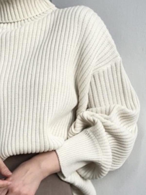 Solid Turtleneck Ribbed Knit Sweater Product Image