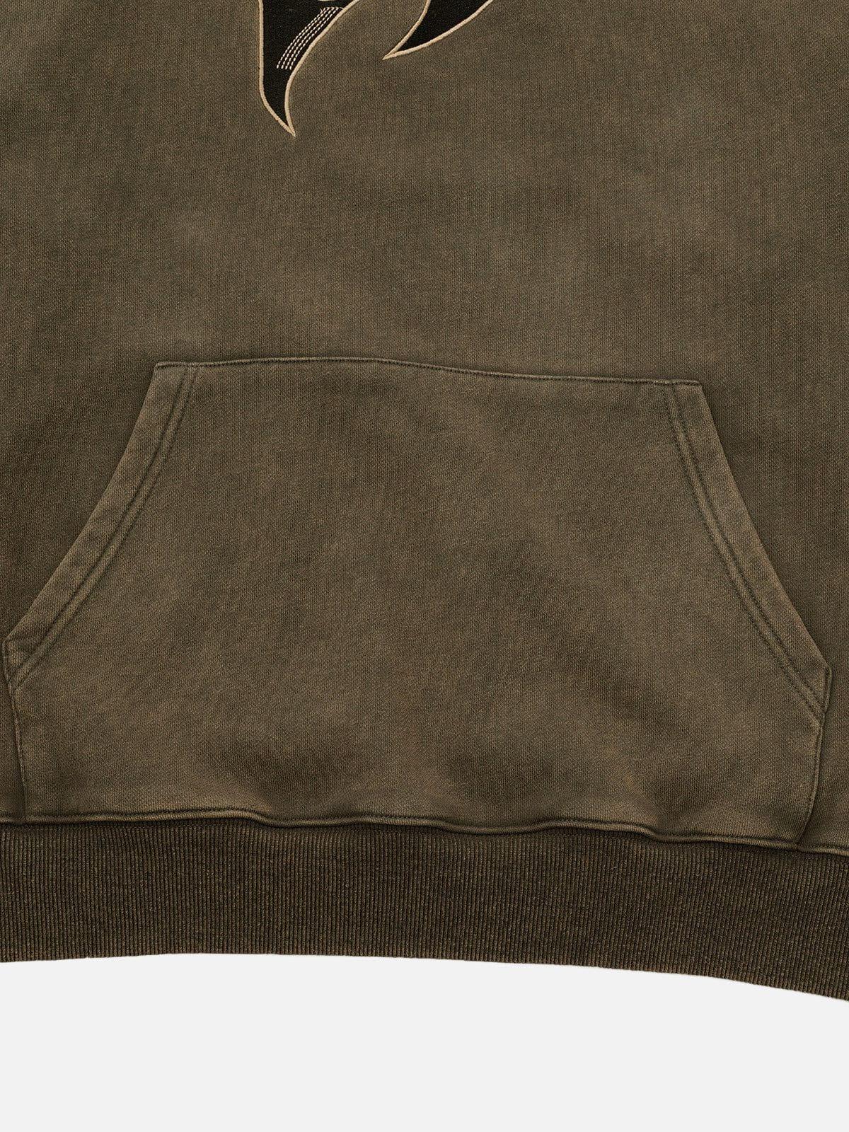 Aelfric Eden Embroidery Washed Pullover Hoodie Product Image