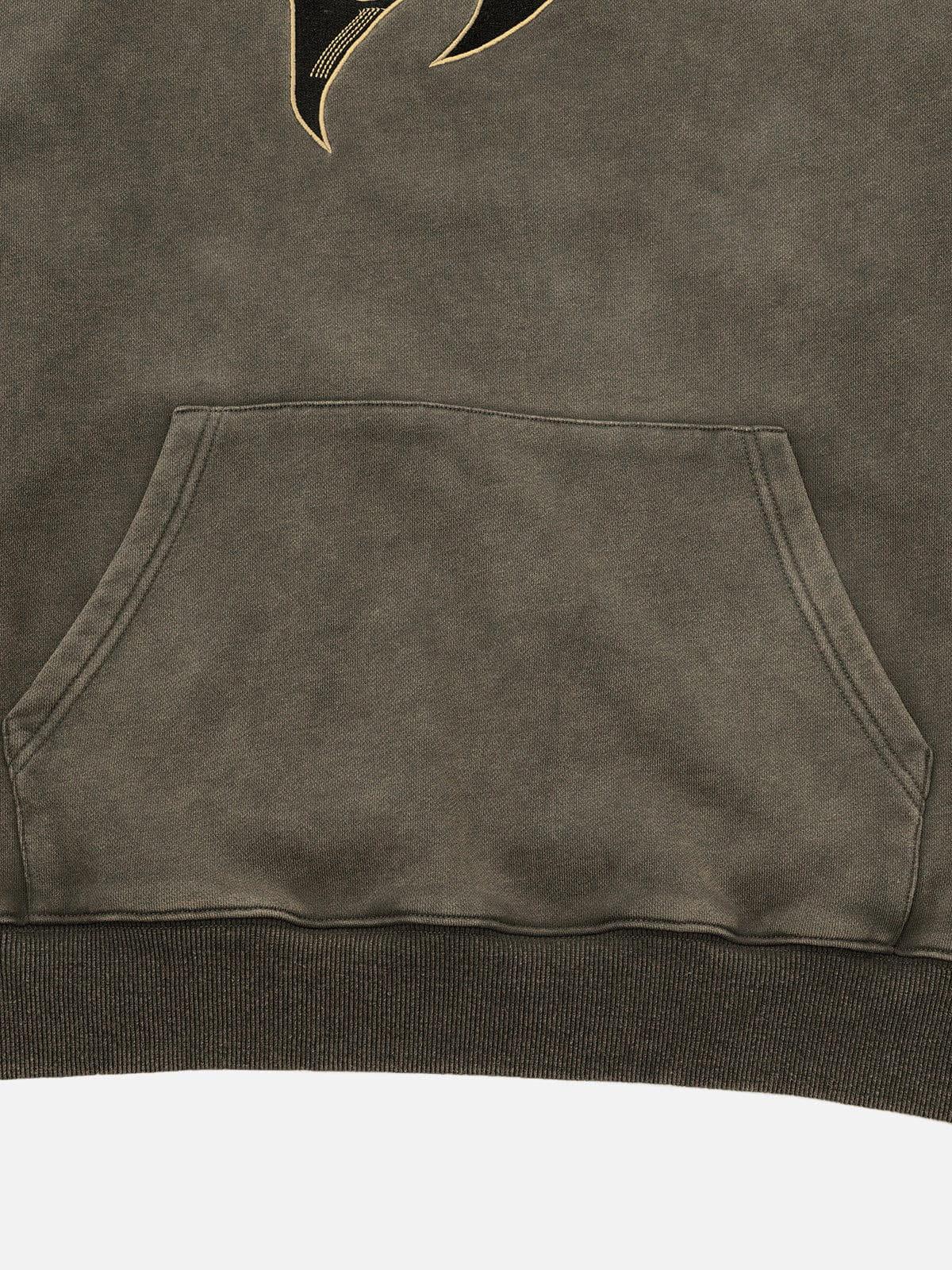 Aelfric Eden Embroidery Washed Pullover Hoodie Product Image