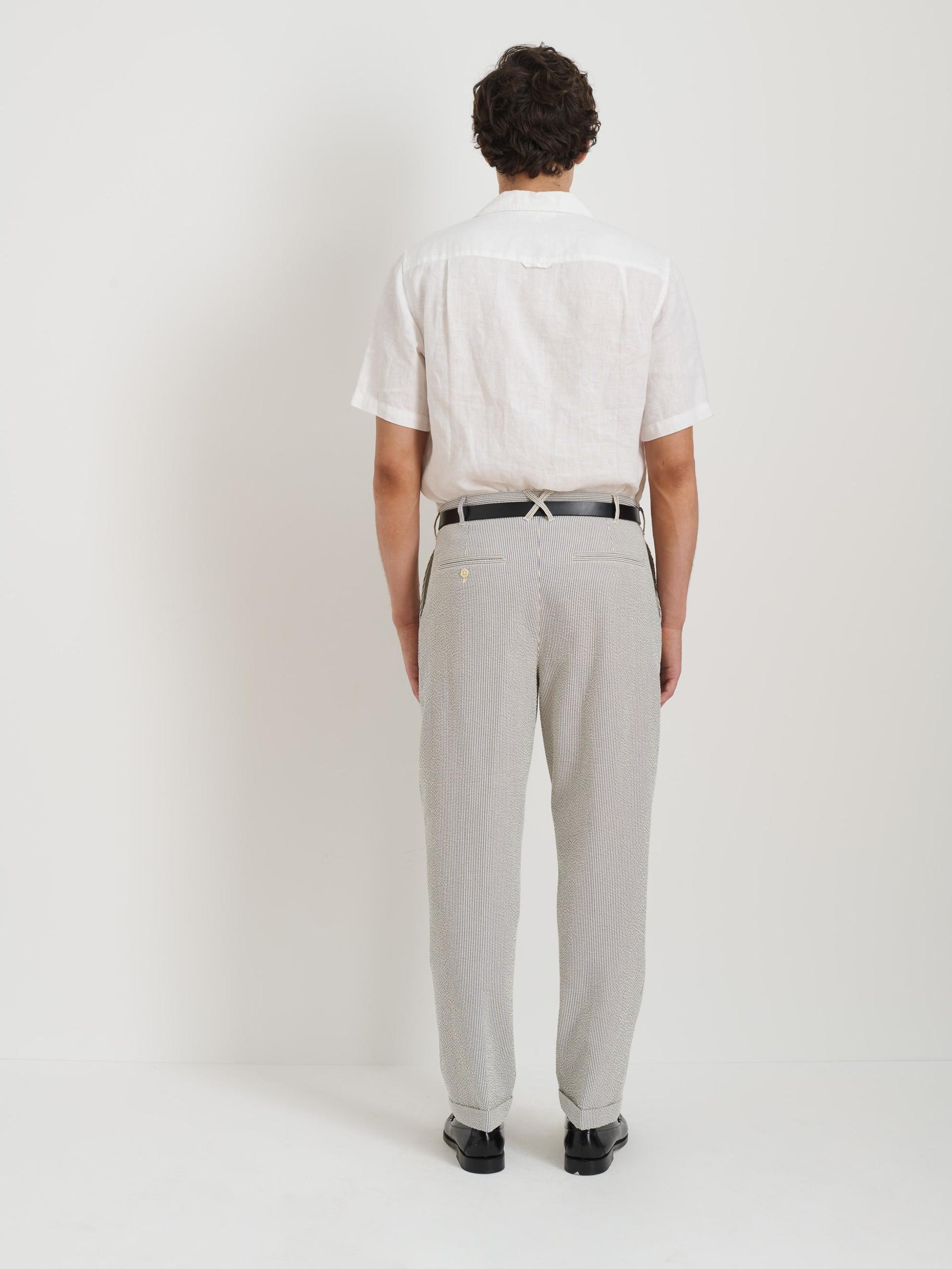 Standard Pleated Pant In Seersucker Product Image
