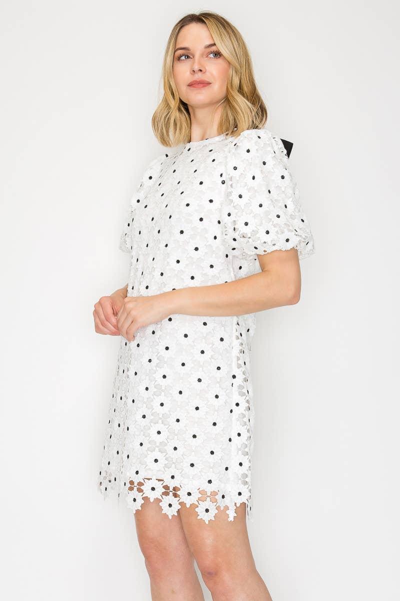 Daisy Polka Dot Lace Mini Dress Product Image
