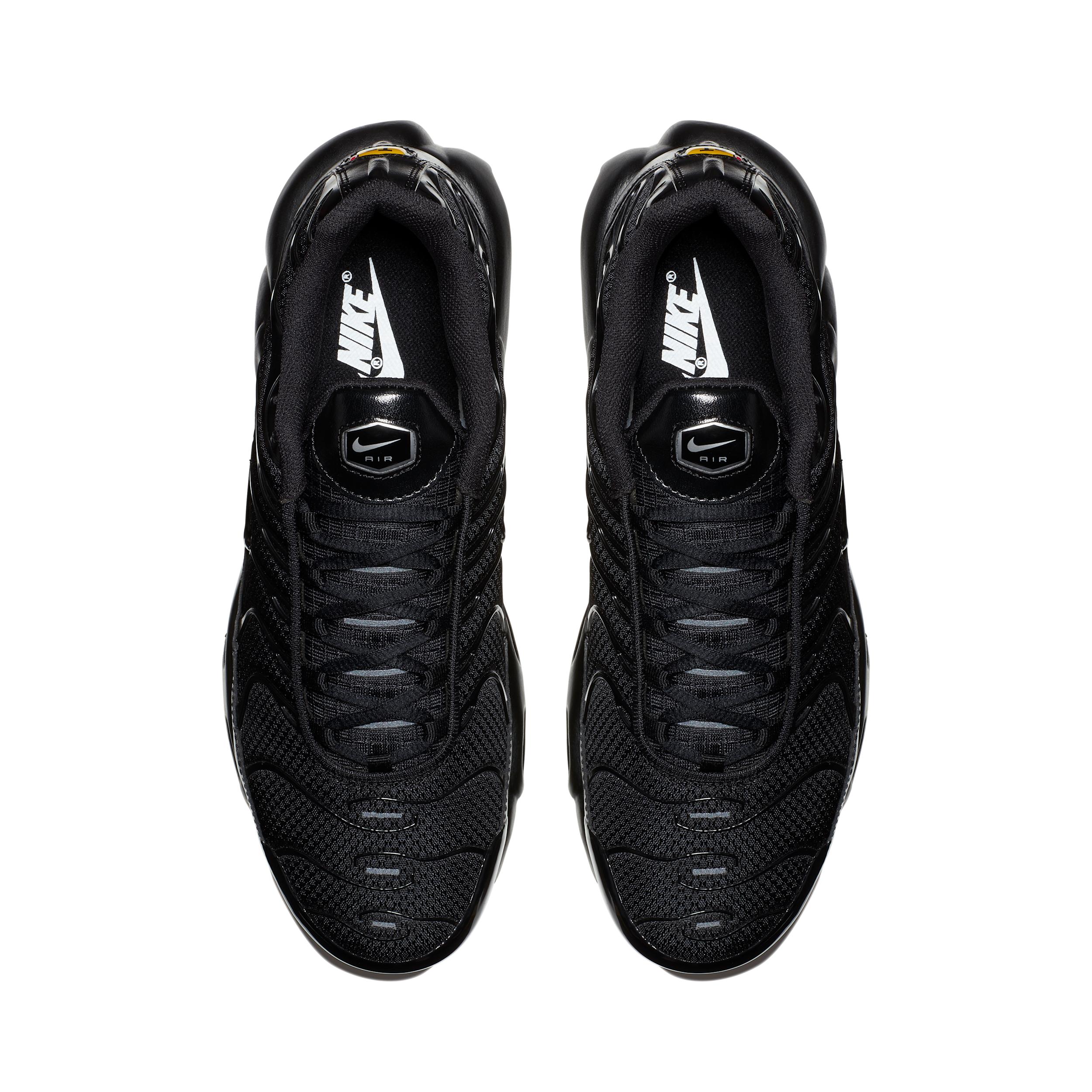 Nike Mens Air Max Plus Shoes | 604133-050 Product Image