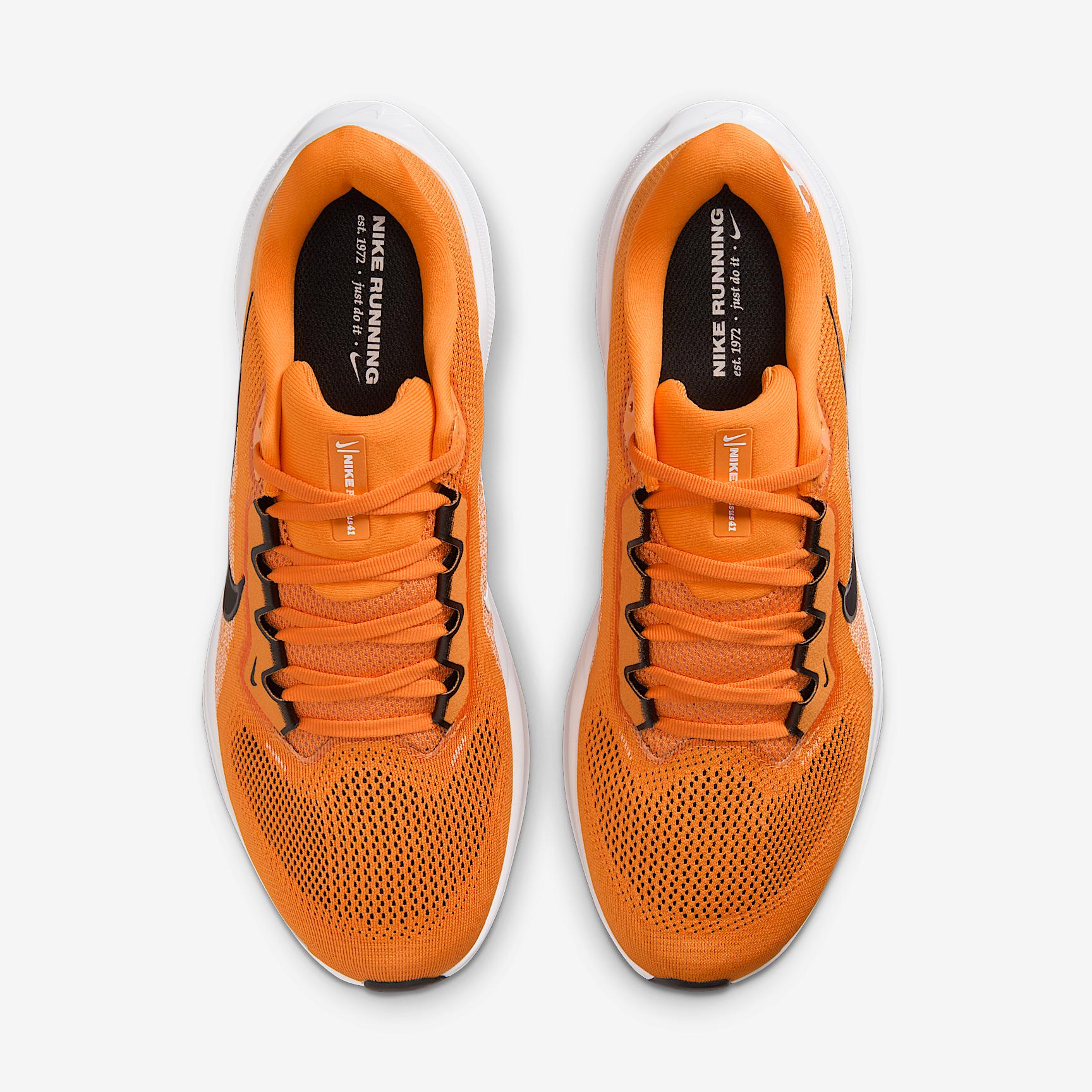 Tennessee Pegasus 41 Men's Nike College Road Running Shoes Product Image
