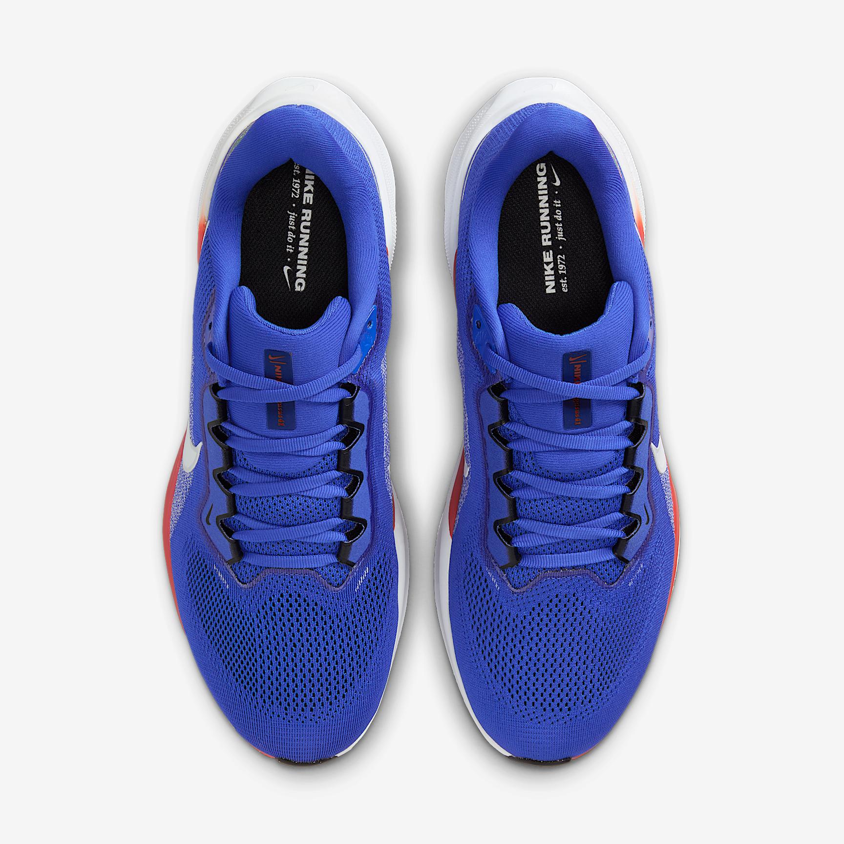 Florida Pegasus 41 Men's Nike College Road Running Shoes Product Image