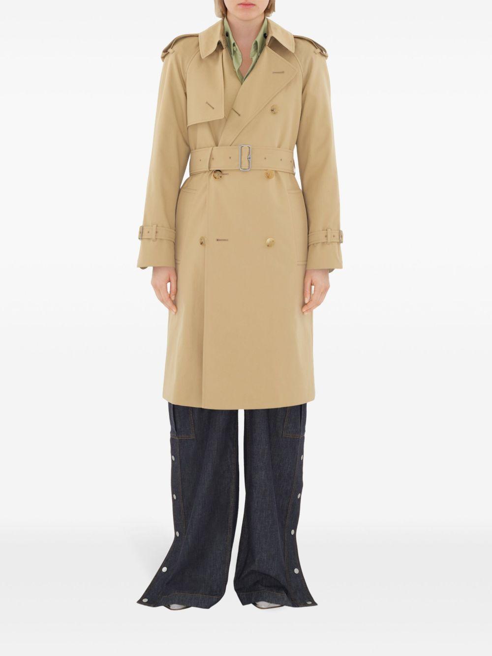 notched-lapel cotton trench coat  Product Image